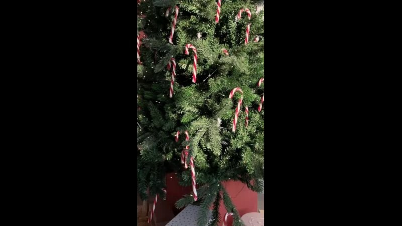 Портретная фотосъемка | Профессиональное портфолио фотографа Репина Антона