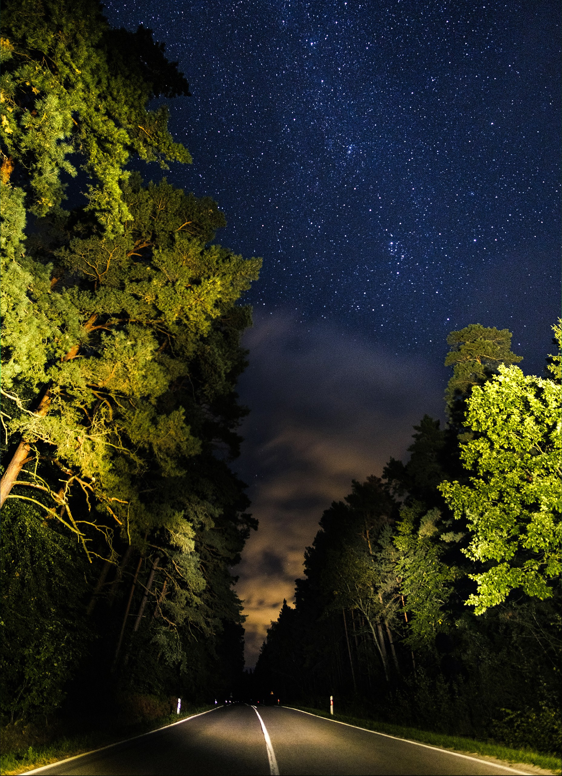 Куршская коса в Калининградской области