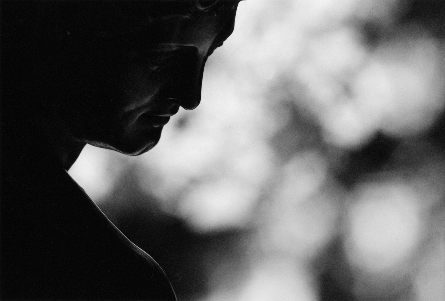 Art Series. Елена Цихон художник фотографии и мастер фото-ДНК