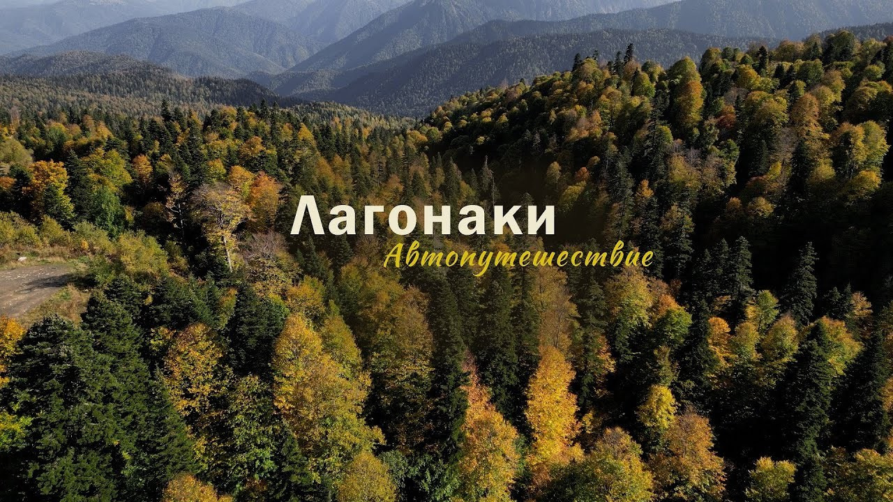 Film. Фотограф и видеограф Елена Хмелевская