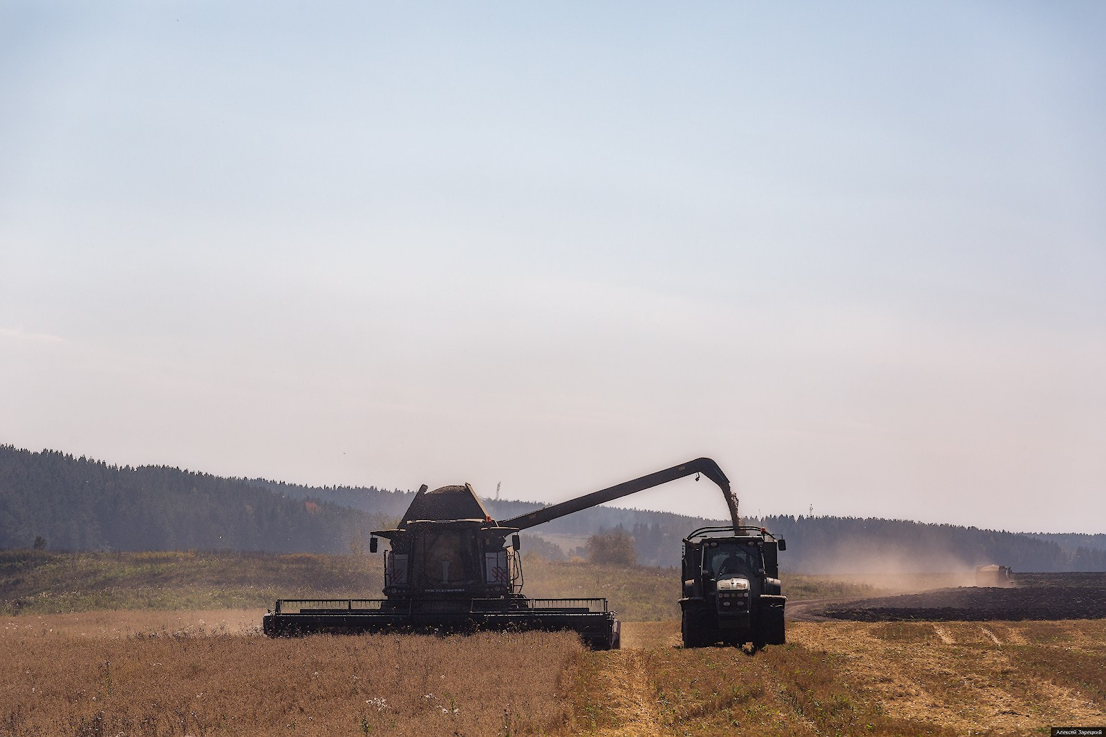 Фотограф Алексей Зарецкий