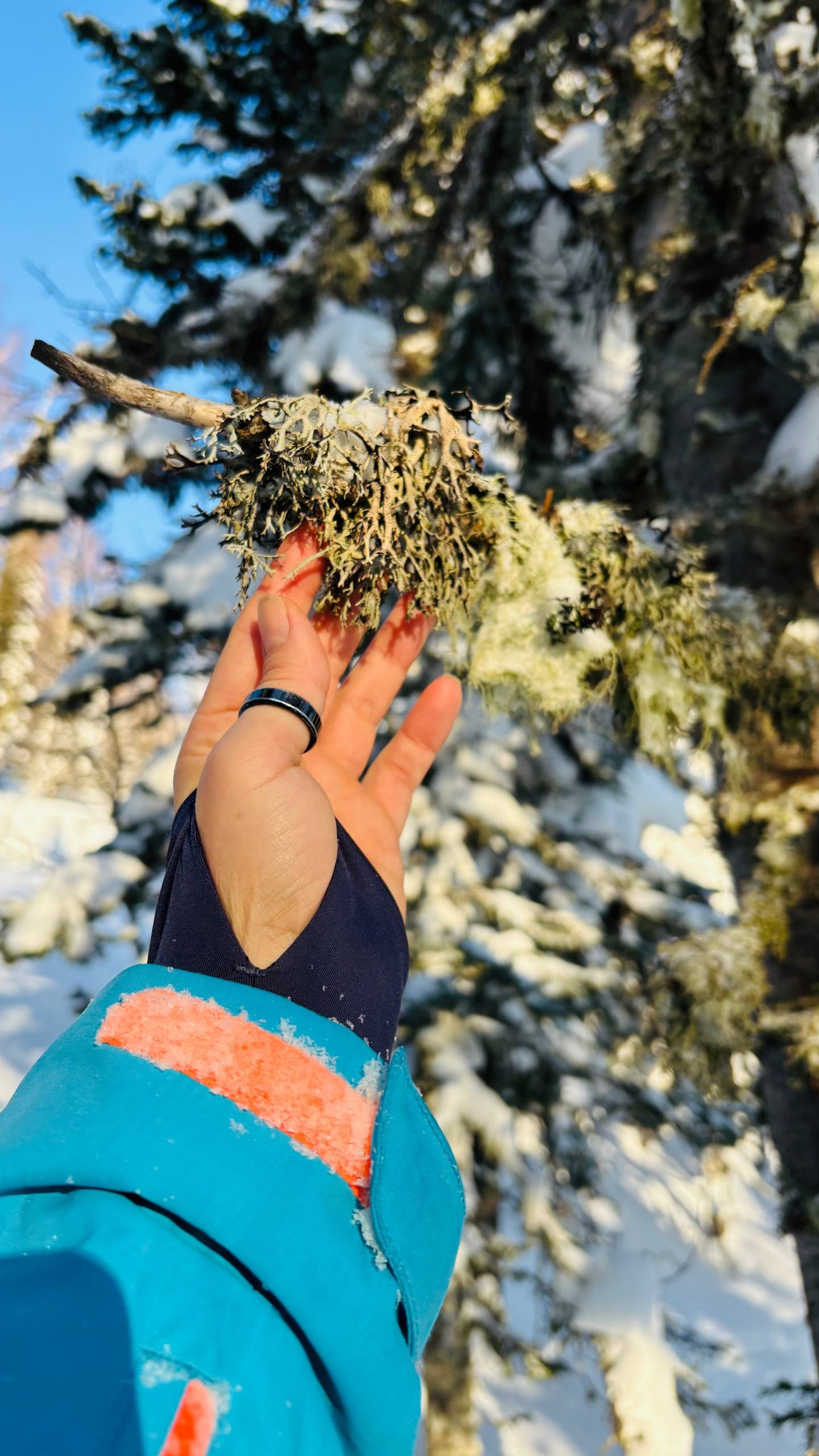 ШЕРЕГЕШ. Фотограф Наташа Лисица