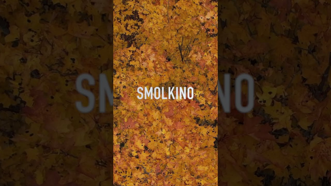 Видео. Свадебный, семейный и школьный фотограф в Сызрани Максим Баталов