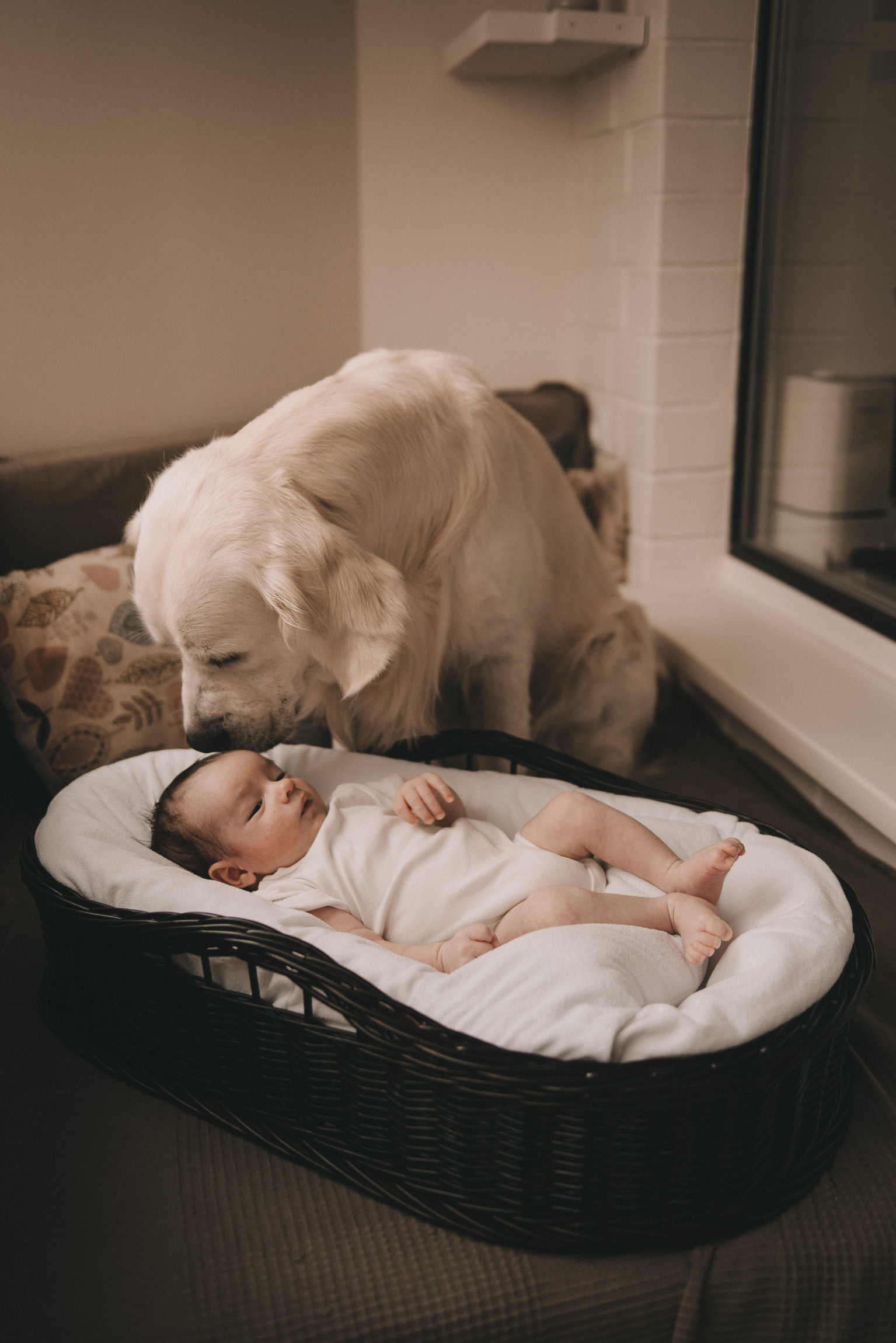 НОВОРОЖДЕННЫЕ. Фотограф новорожденных в стиле lifestyle в Воронеже Юлия Ключникова