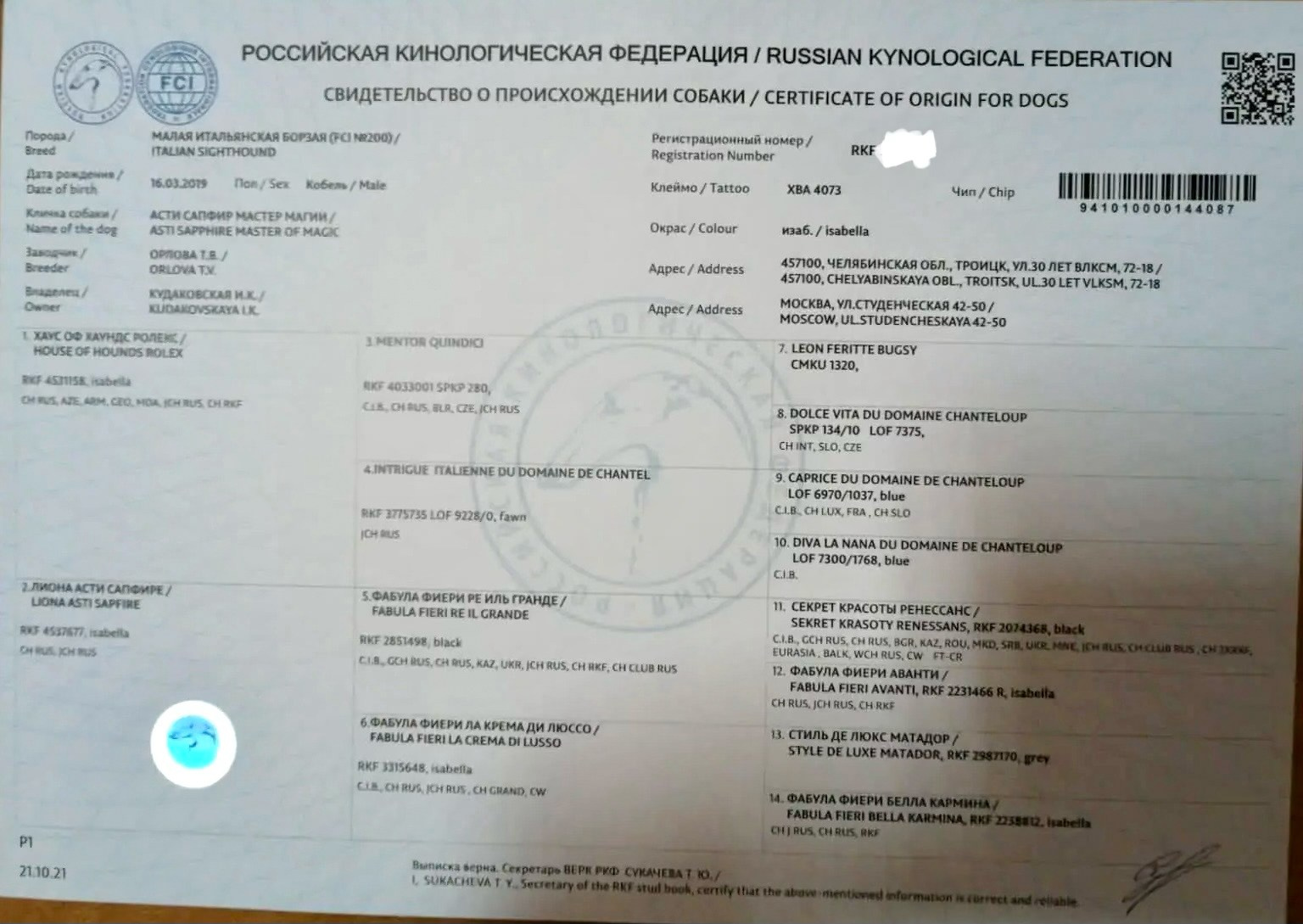 Четверо друзей. Профессиональный питомник левреток РКФ/FCI ASTI SAPPHIRE 💎 Санкт-Петербург