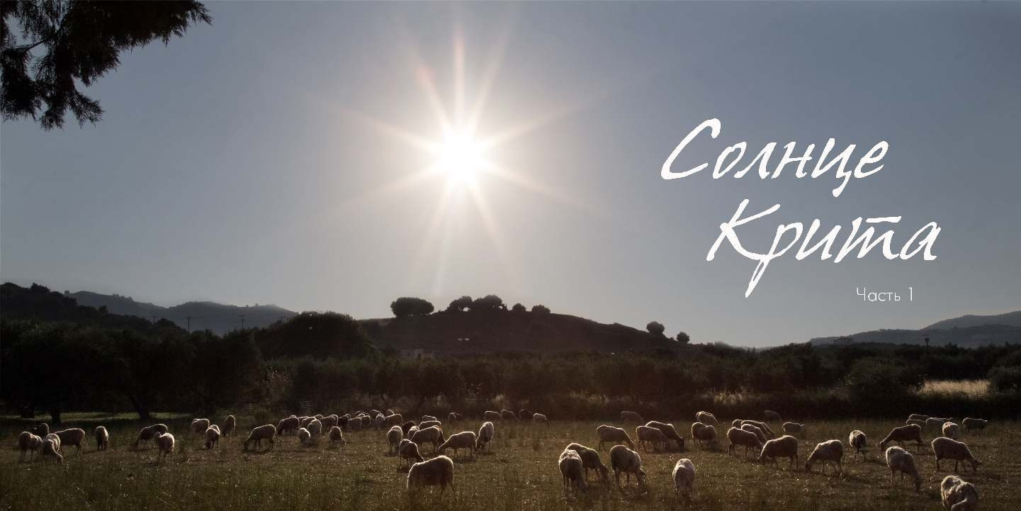 BEST FAMILY BOOK 2017