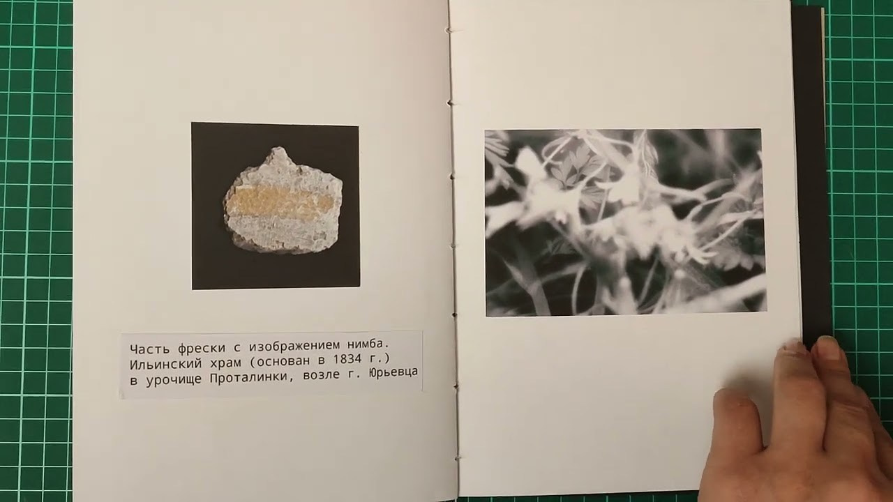 Pulherrima Rosa. Плёночный фотограф Юлия Андрейченко в Москве