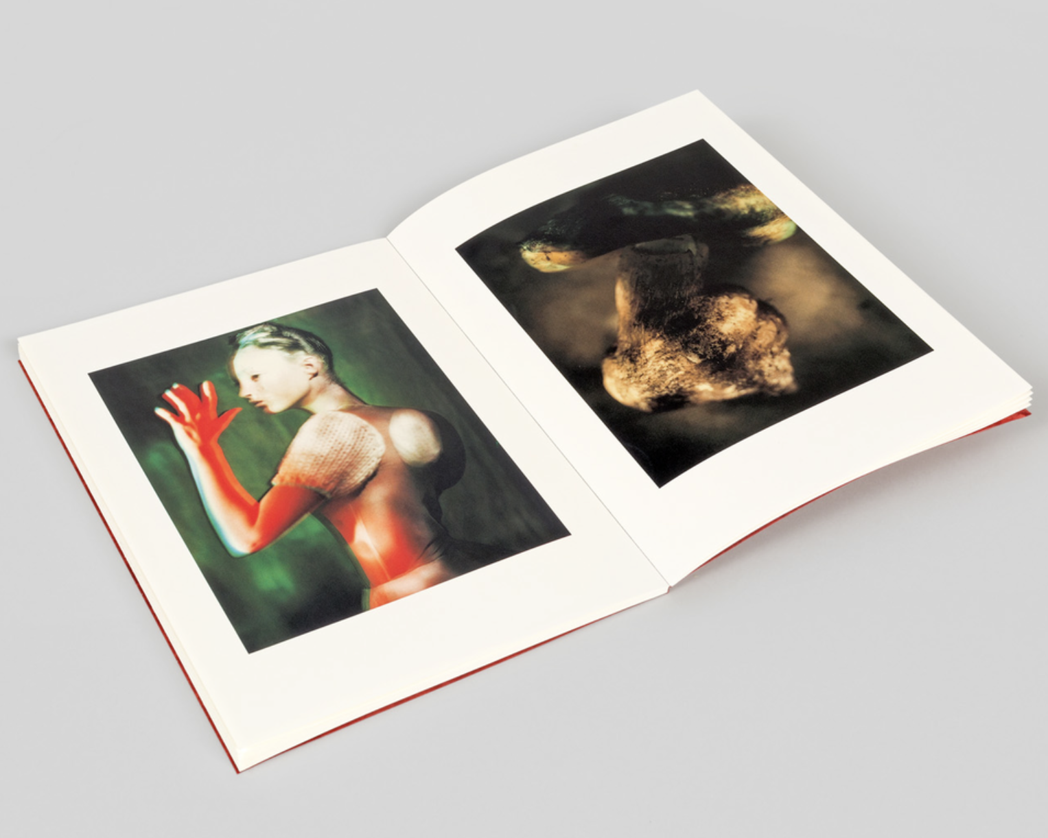 Фотокнижная библиотека Кати Селезнёвой. Фотограф и исследователь фотографии из Санкт-Петербурга Елизавета Веприцкая