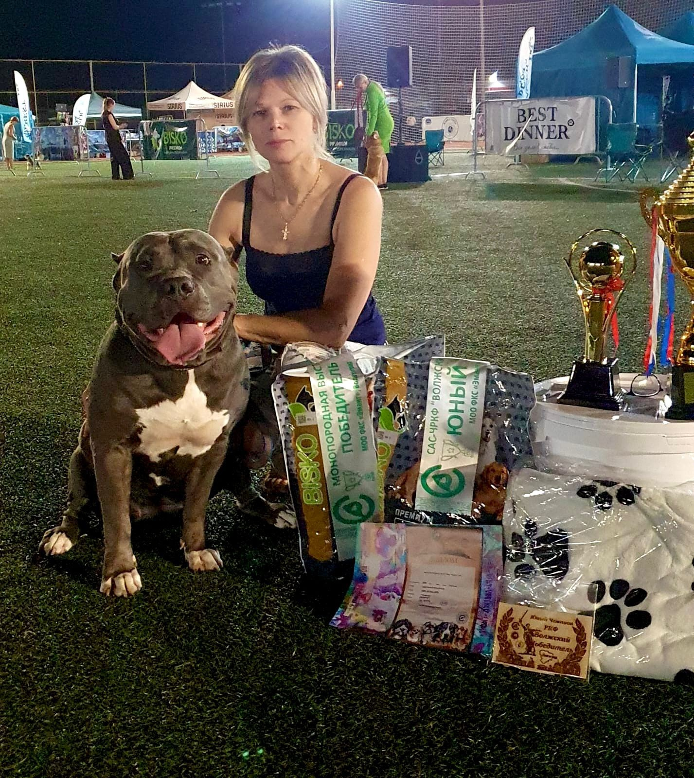 UPB’s Queenie & Zeus. 16.04.24. Американские булли XL в г. Калининград. Питомник Great Bully UNIVERSE