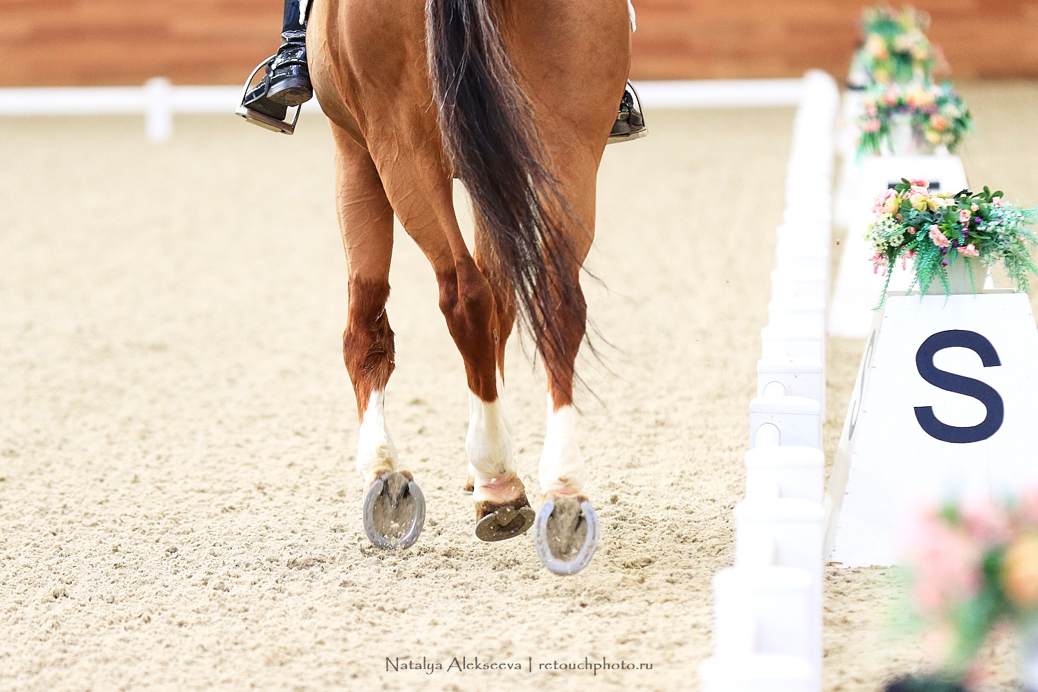 Зимний Кубок молодежи по выездке, Maxima Stables | 02'2020