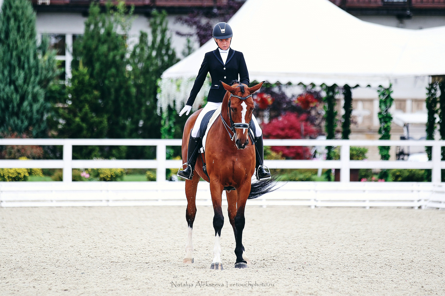 Кубок КСК Отрада по выездке | 08'2019