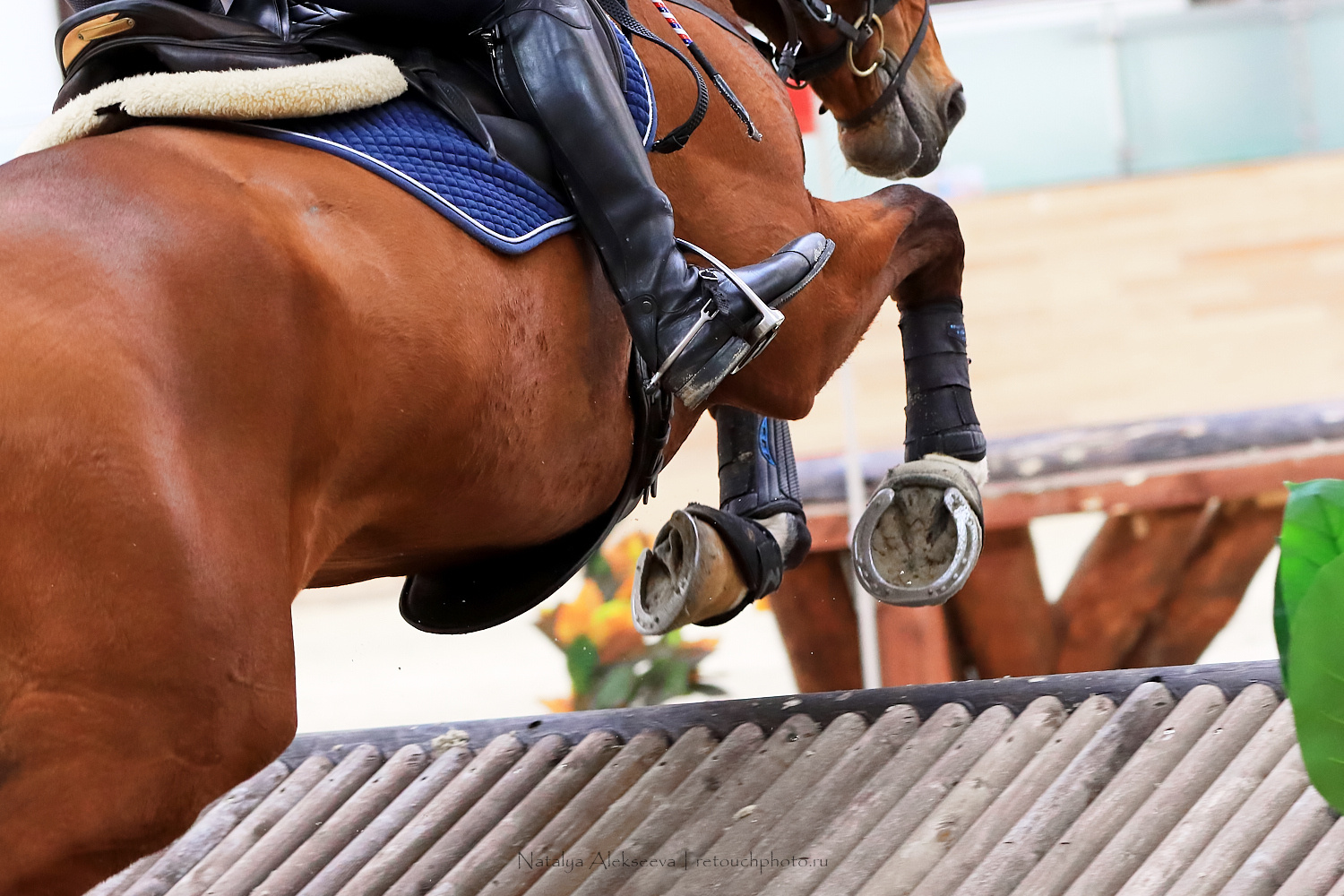 Этап Кубка Победы по троеборью, Maxima Stables | 03'2020