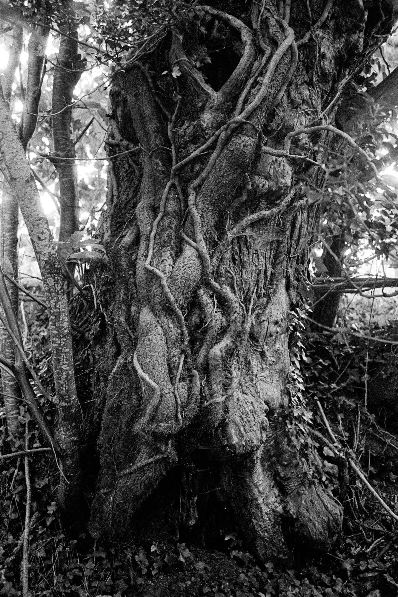 Memories of France. Документальный фотограф Алексей Мякишев, Москва