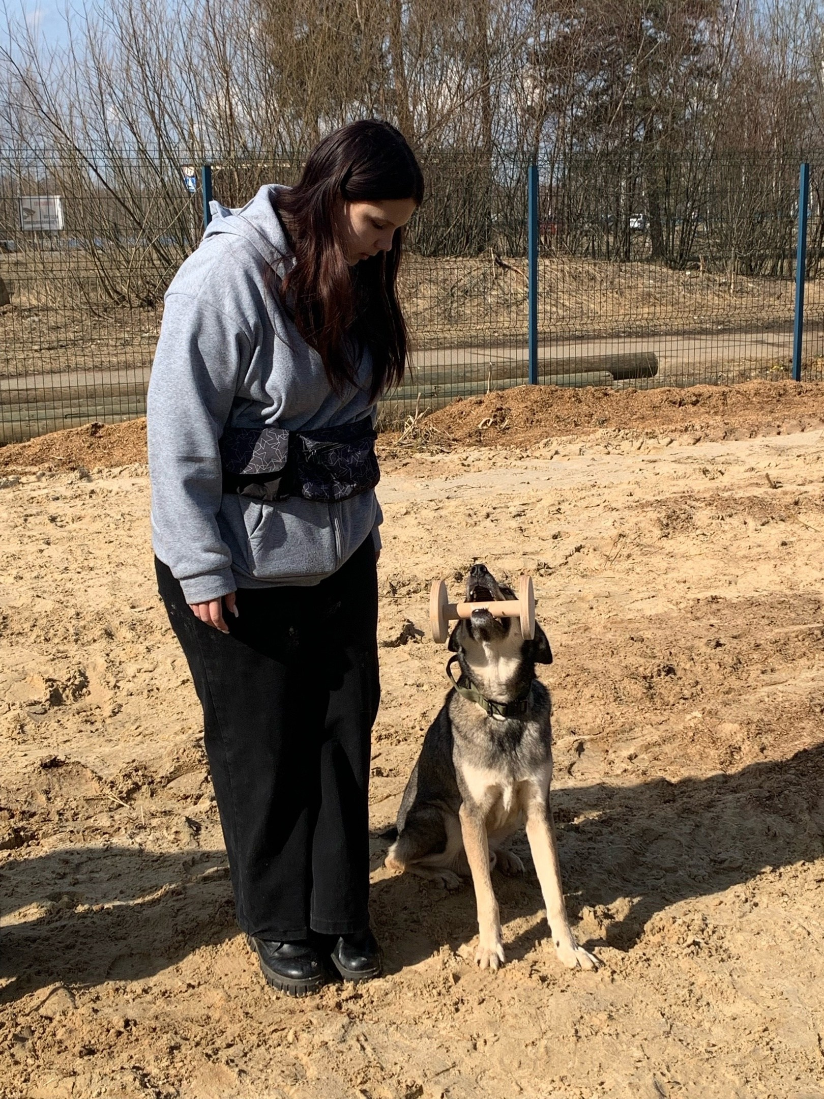 Практические занятия по дрессировке. НРОО КЦ "Собаковод"