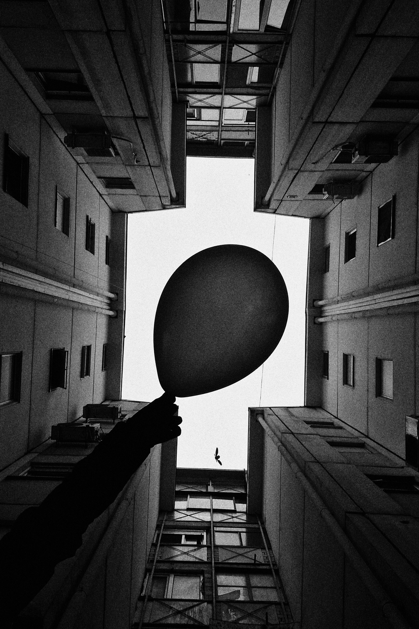 автор: Ольга Виноградова