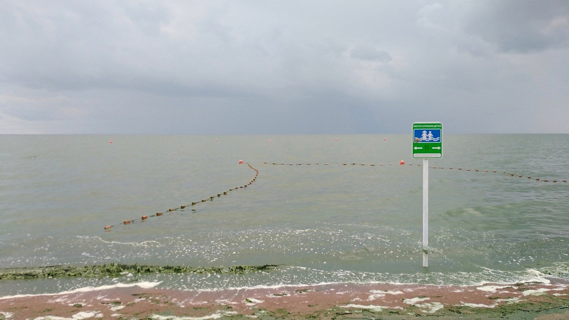 Aleksandra Mikhailova multimedia artist