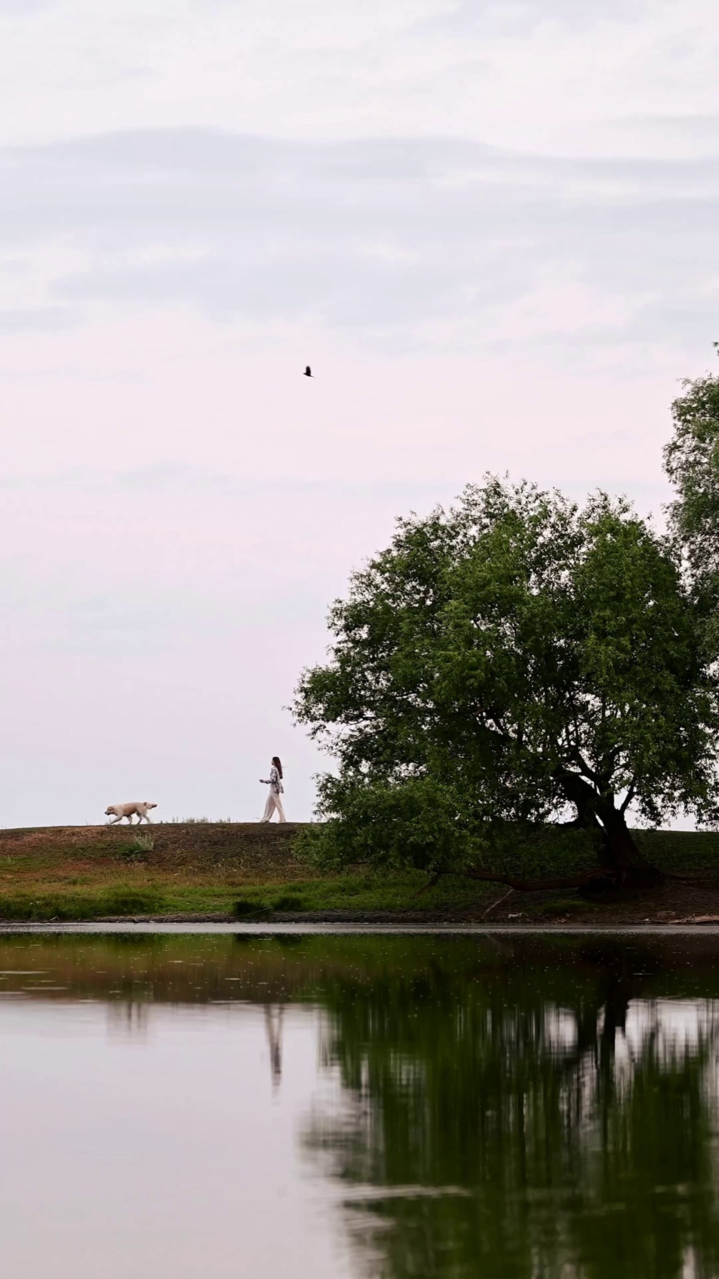 Видео в формате маленькой истории. Мила Астахова