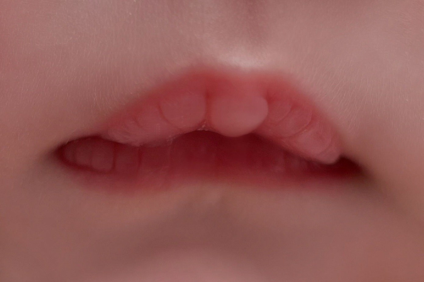 Давидова Лола Москва фотограф новорожденных