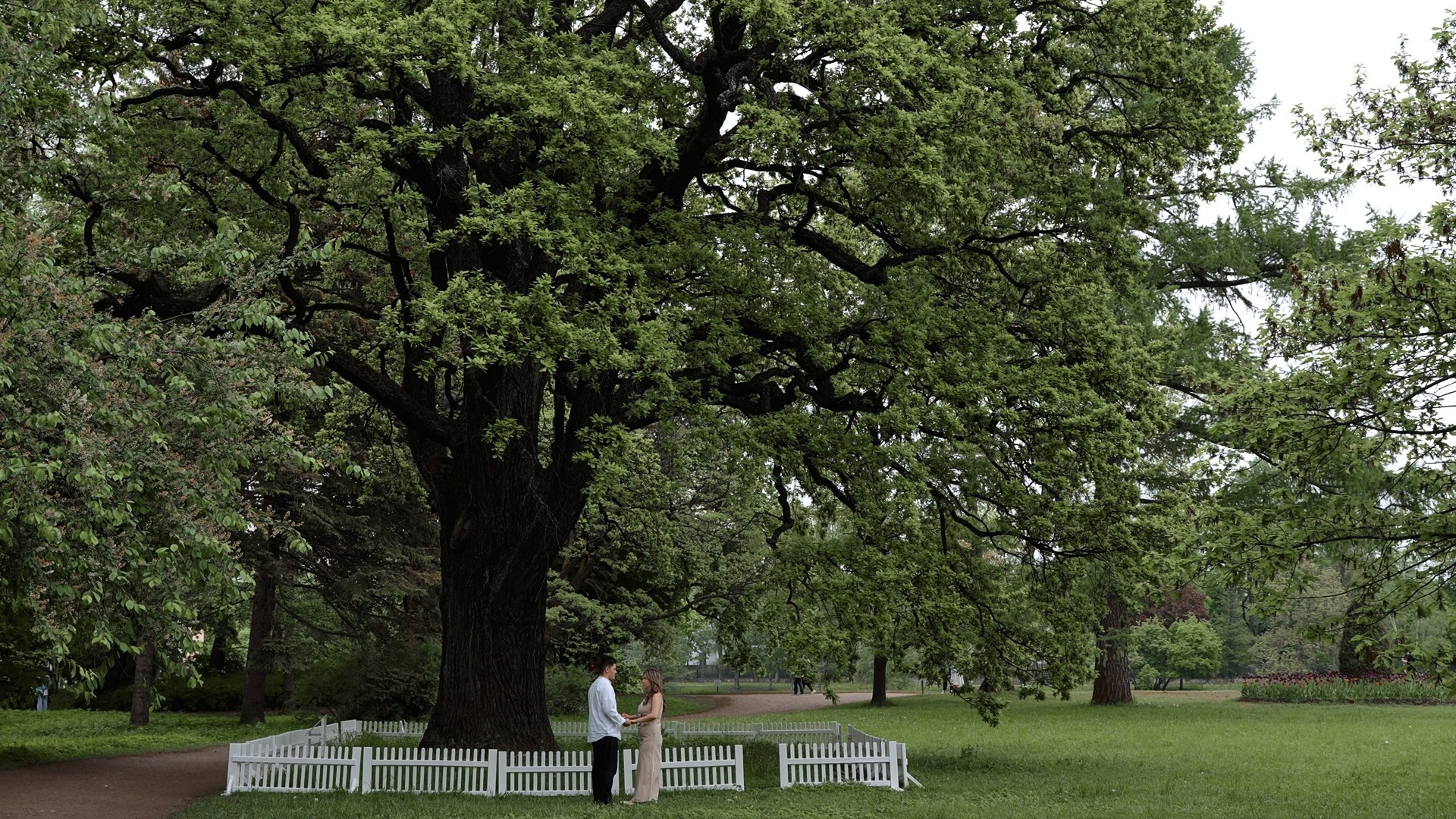 Лавстори видео на любой вкус, предсвадебная видеосъемка