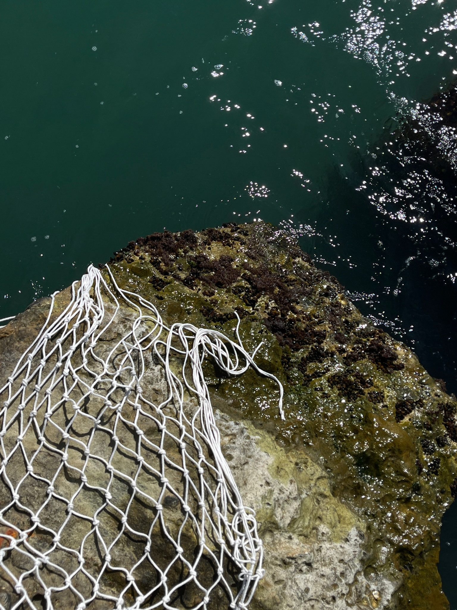 Для брендов. Фотосъемки