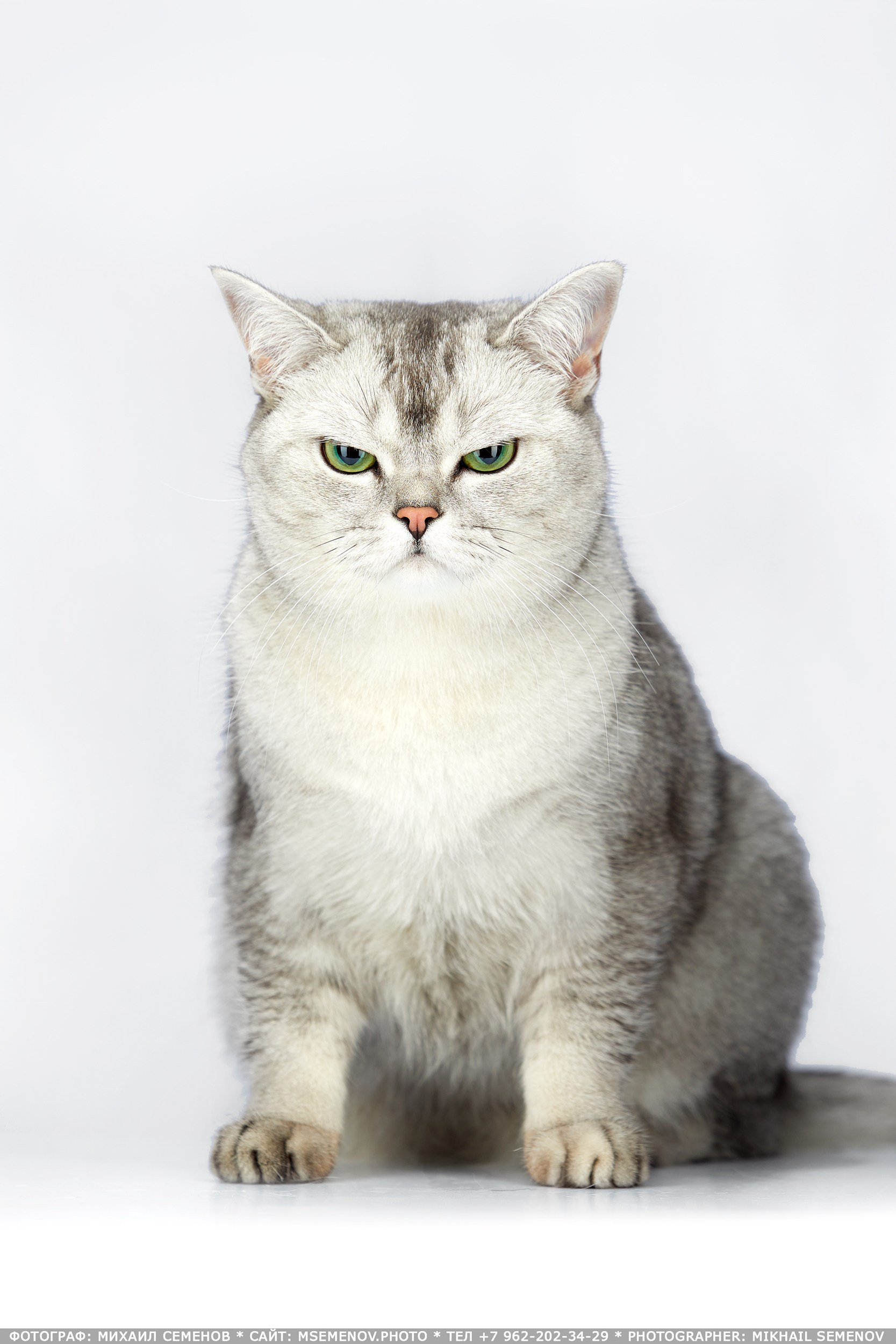 Фотопроекты и съемки на природе, с лошадьми, самолетами и авто. Выездная фотосессия. Фотограф, фотопроекты Михаила Семенова в Ярославле. Фотошкола