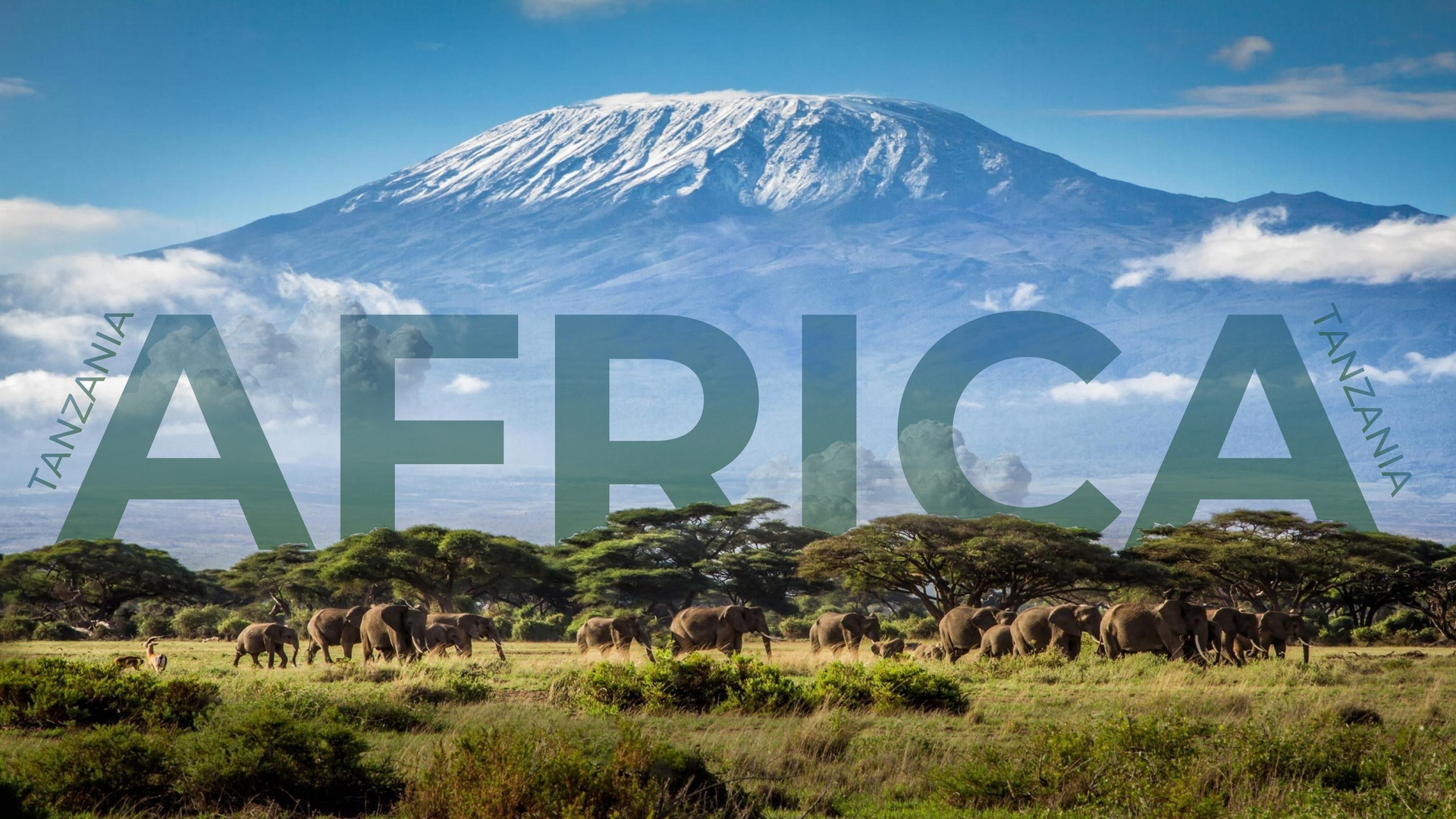 Travel- фильмы. Видеограф Тамаз Цикаришвили