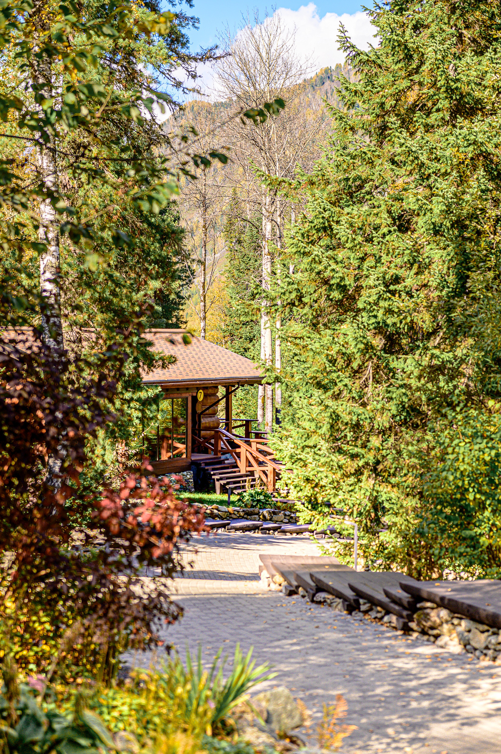 Общее портфолио. Фотограф Барнаул Горный Алтай