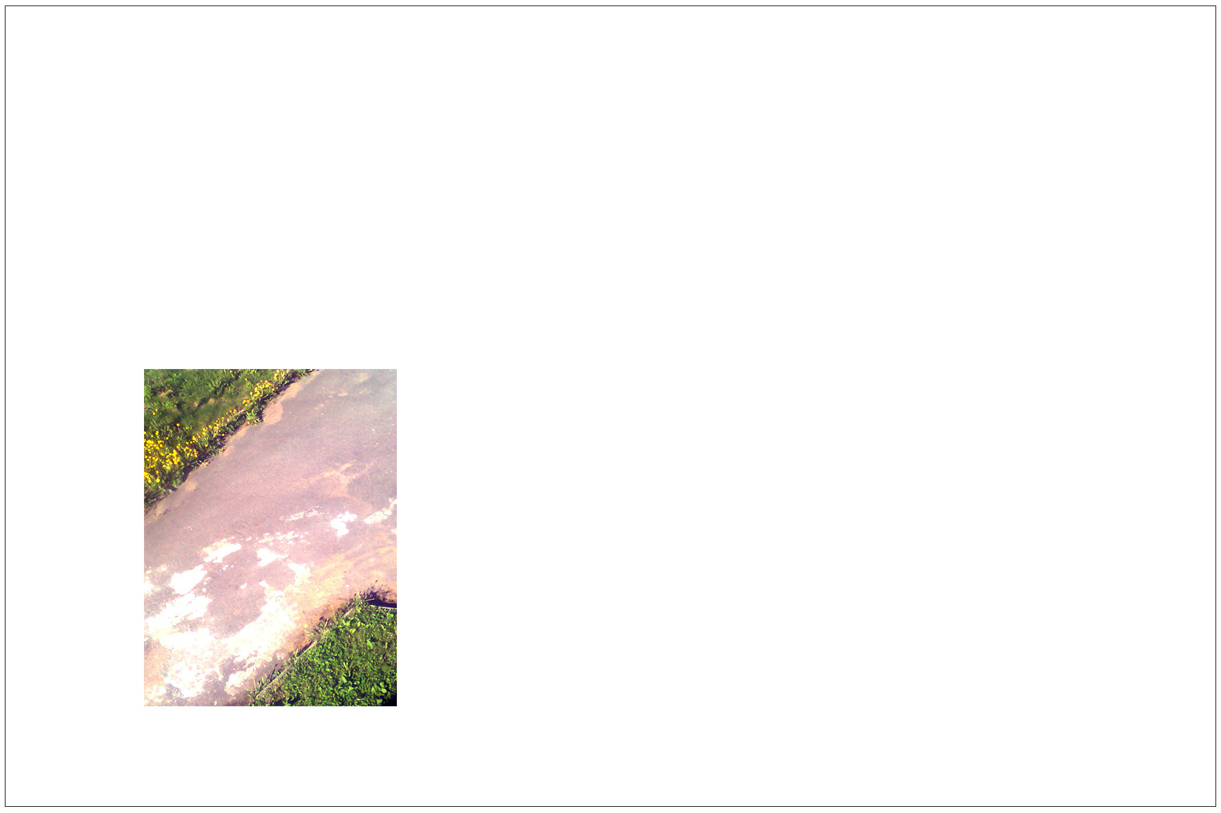 Форма общения (2016). Художник. Фотограф