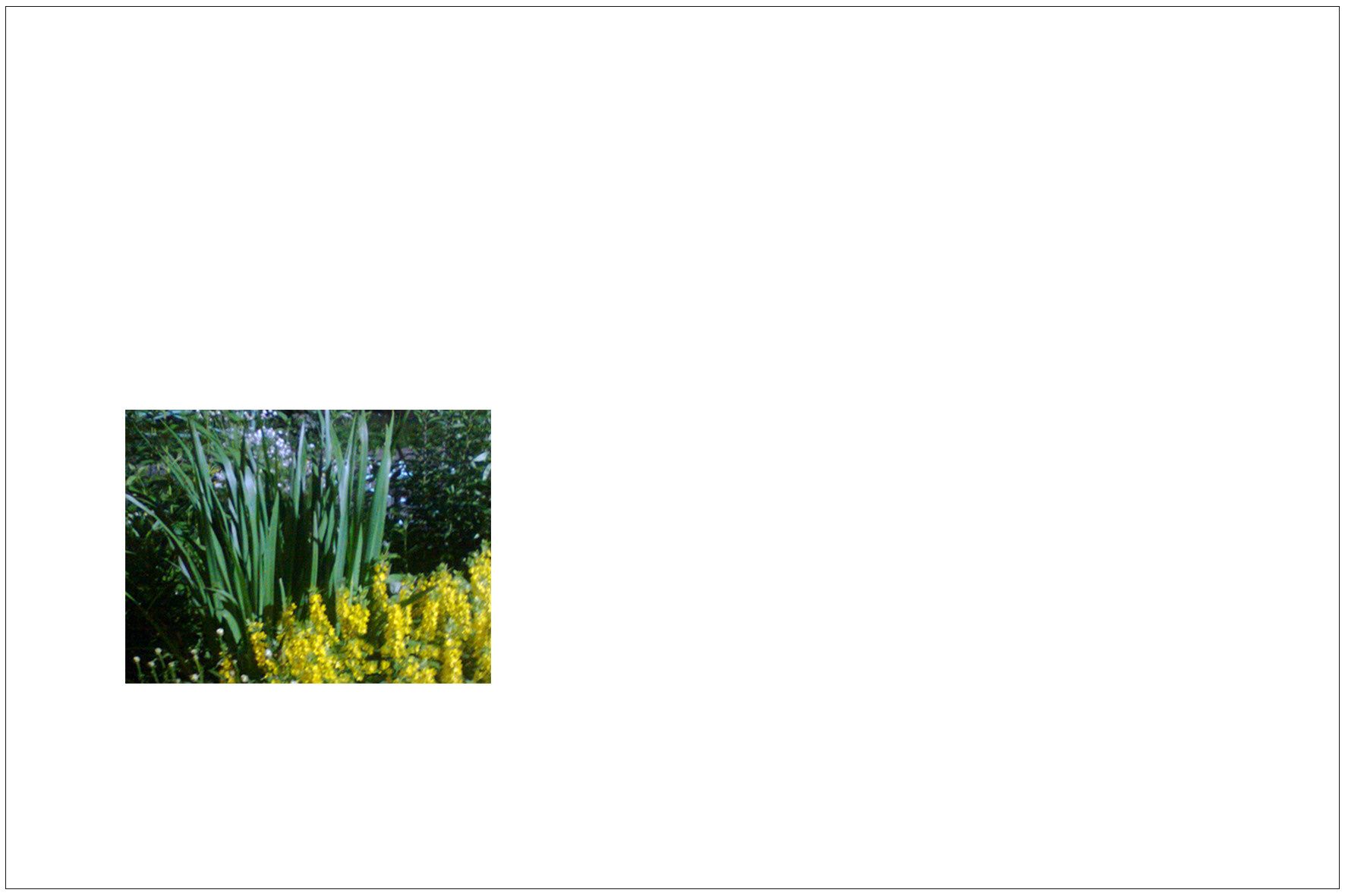 Форма общения (2016). Художник. Фотограф