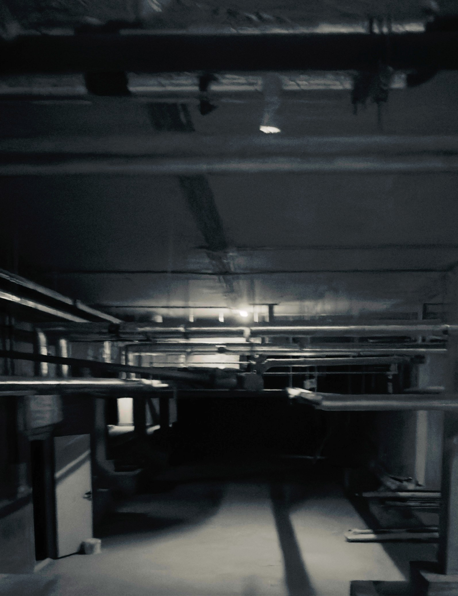 Уличный. Фотограф Арсений Королев