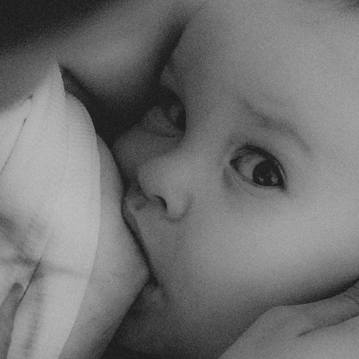 Love. VISUAL ARTIST · KRONGAUZ ANASTASIA