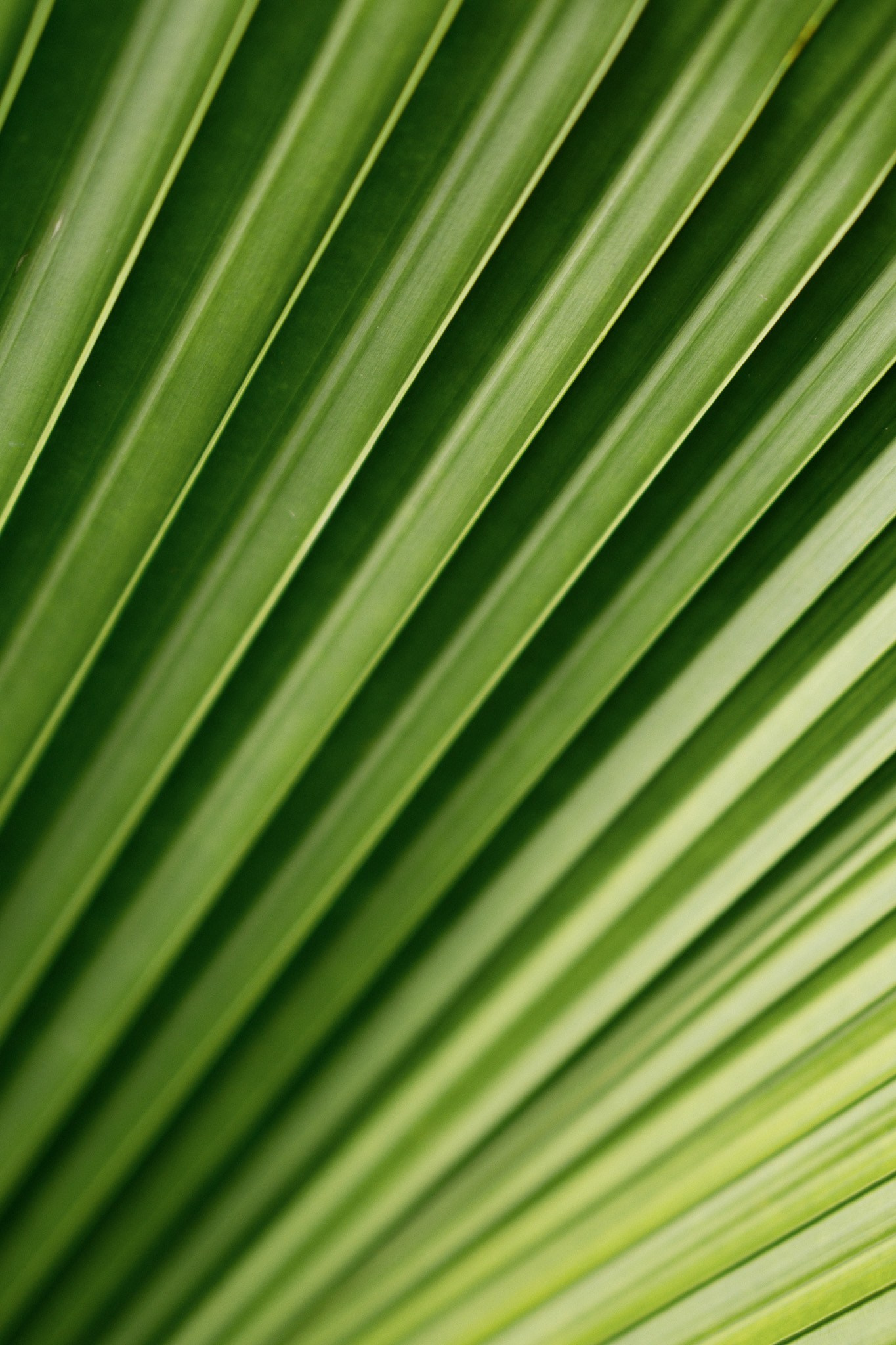 Portrait photographer in Bali