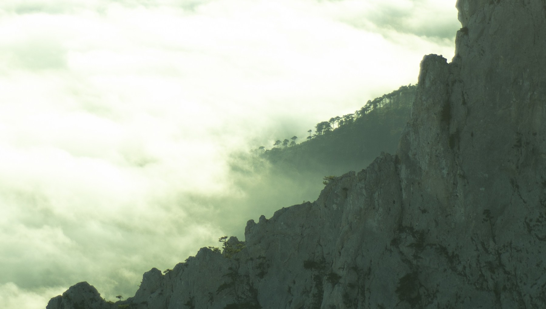 Портретный и репортажный Фотограф Юлия Романцева