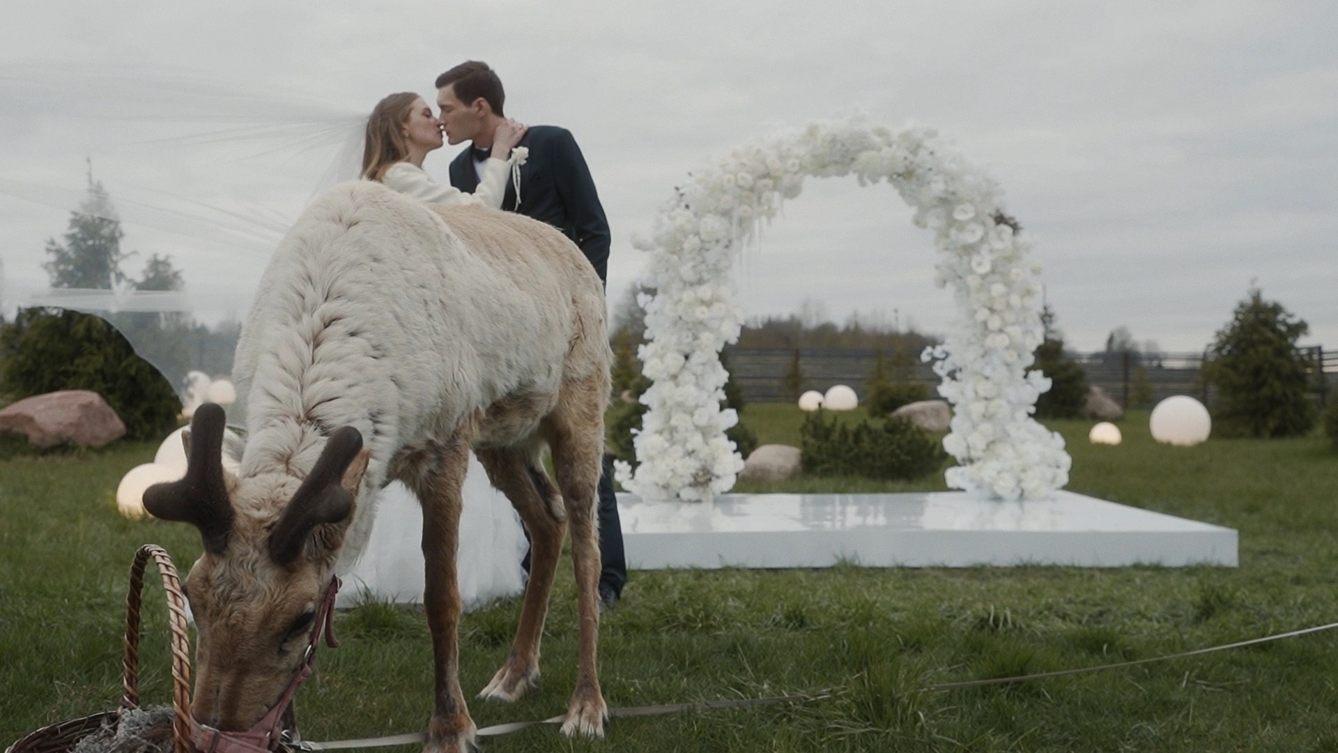 Портфолио. Николай Хасанов