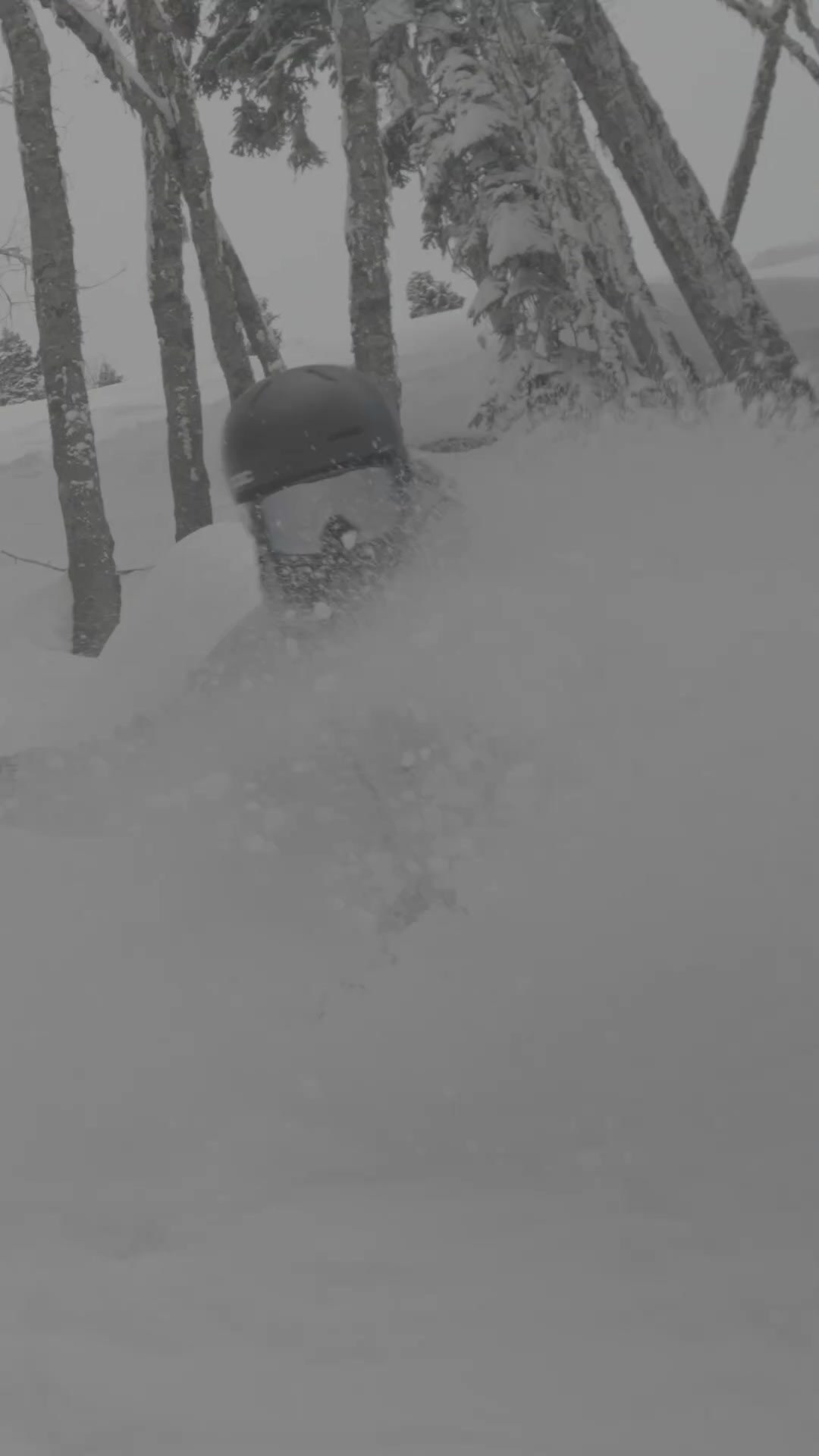 Видео. Горный фотограф в Красной Поляне