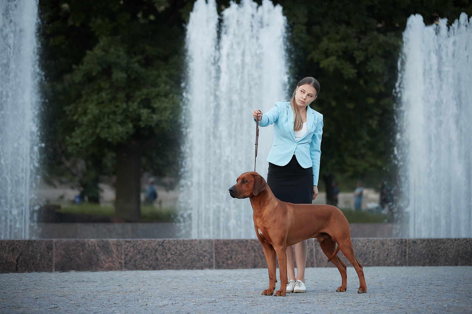 Фотографии родезийского риджбека Adhamas Geni Nala (Алана). Rhodesian ridgeback Adhamas Geni Nala