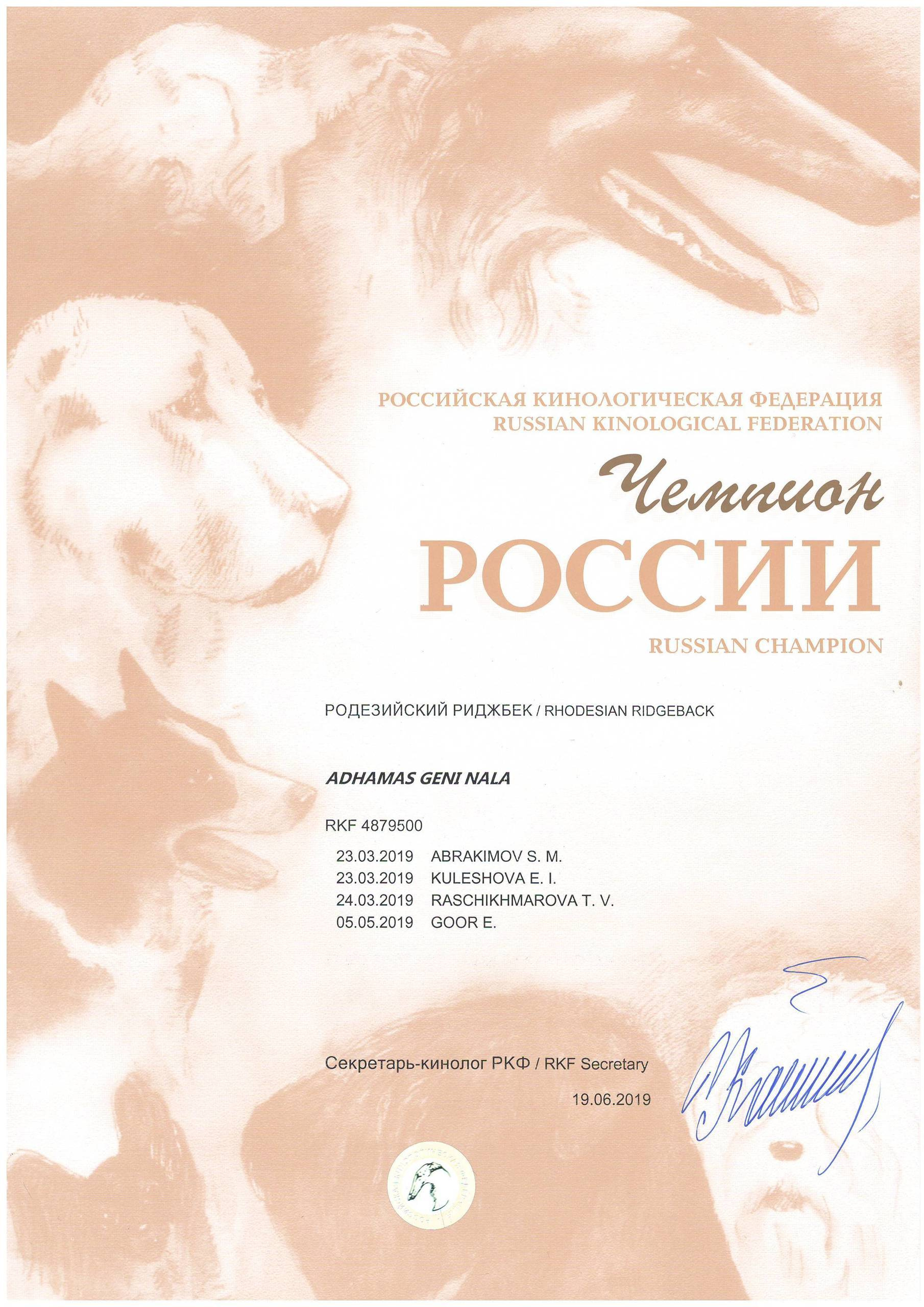 Титулы и чемпионство родезийского риджбека Adhamas Geni Nala (Алана). Rhodesian ridgeback Adhamas Geni Nala