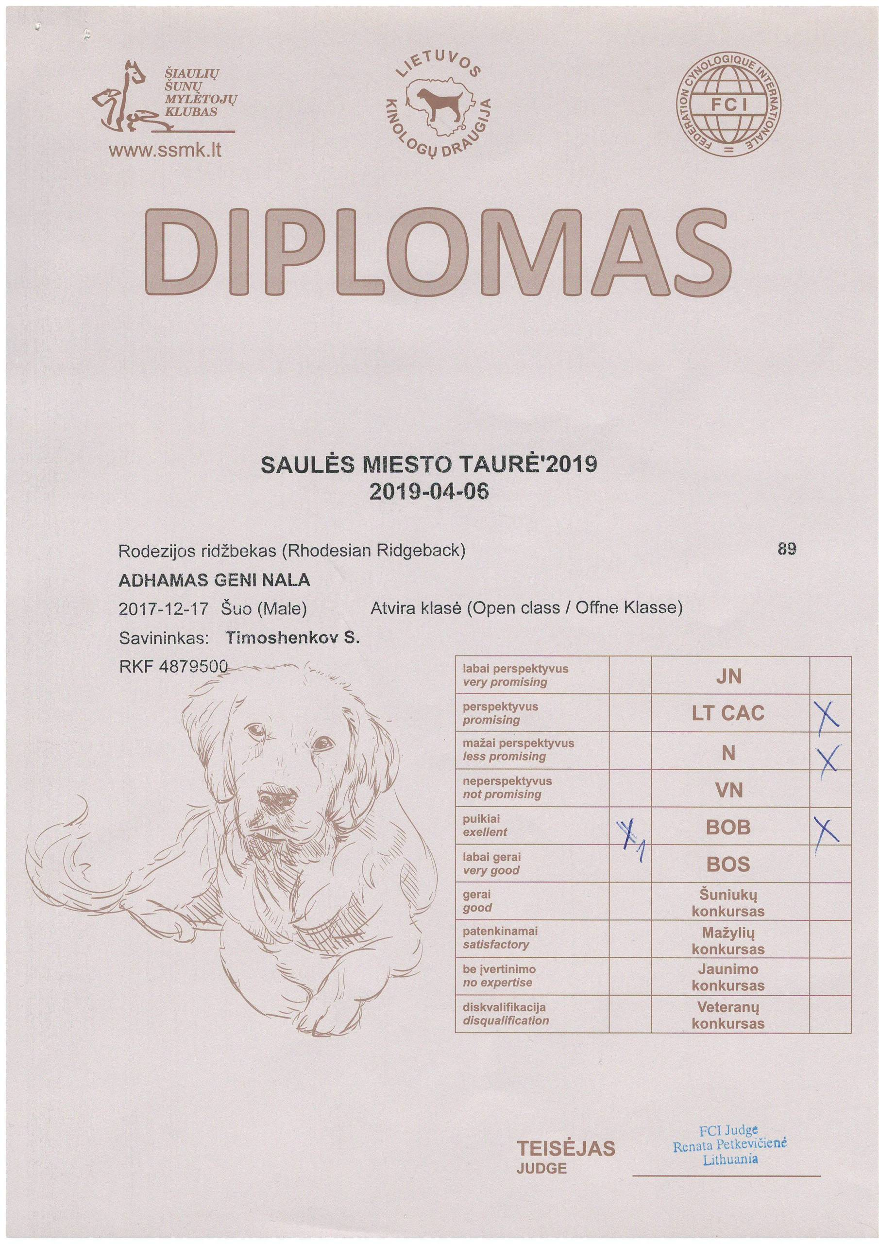 Участие в выставках родезийского риджбека Adhamas Geni Nala (Алана) в. Rhodesian ridgeback Adhamas Geni Nala