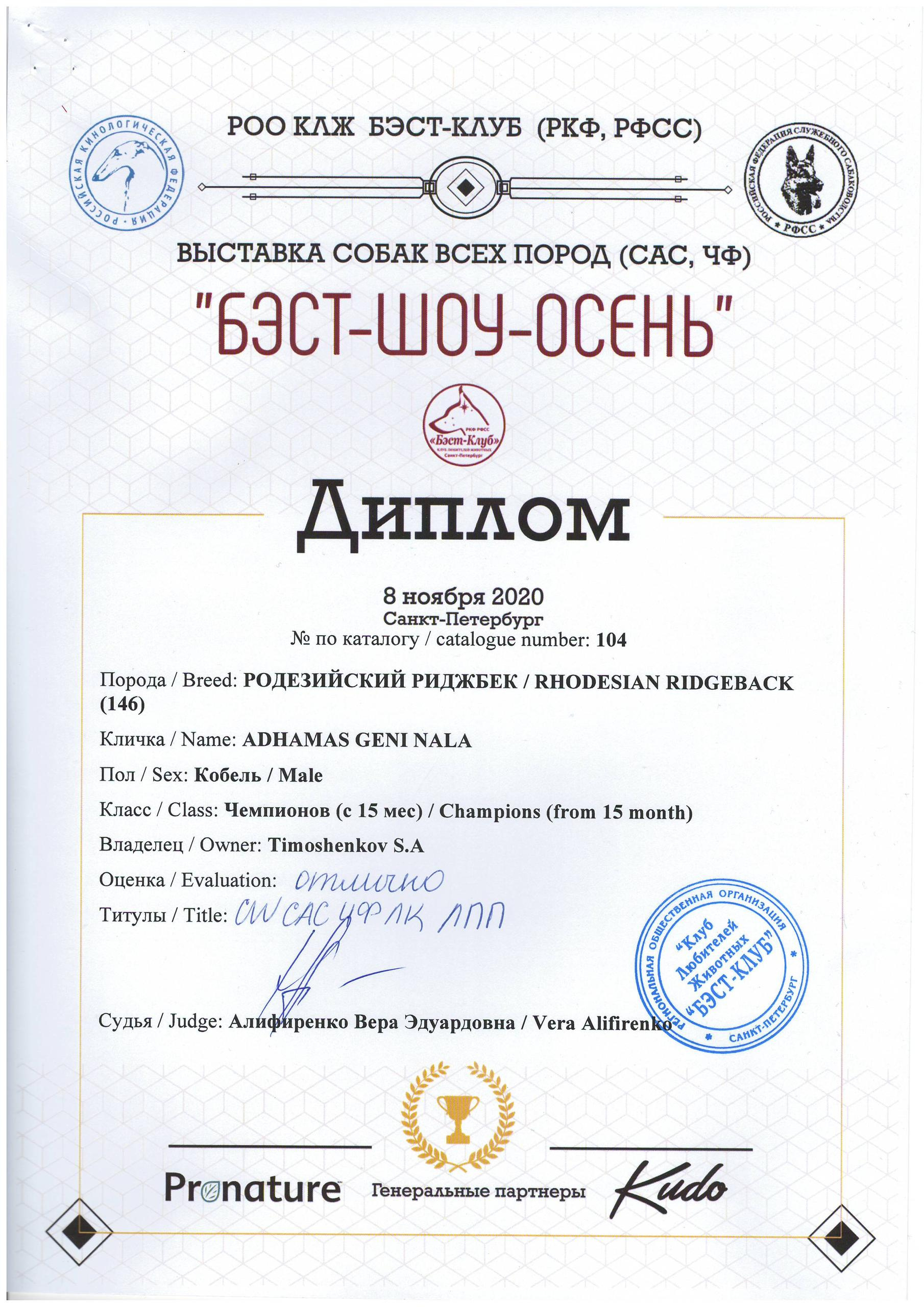 Участие в выставках родезийского риджбека Adhamas Geni Nala (Алана) в. Rhodesian ridgeback Adhamas Geni Nala