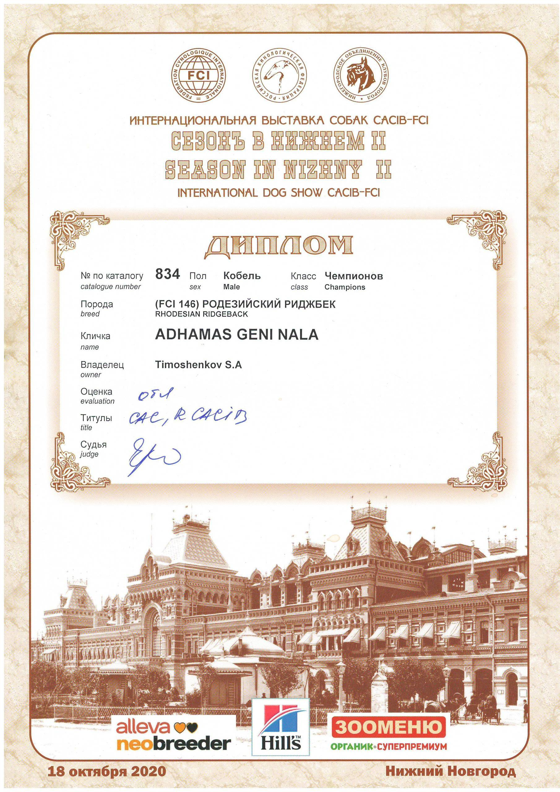 Участие в выставках родезийского риджбека Adhamas Geni Nala (Алана) в. Rhodesian ridgeback Adhamas Geni Nala