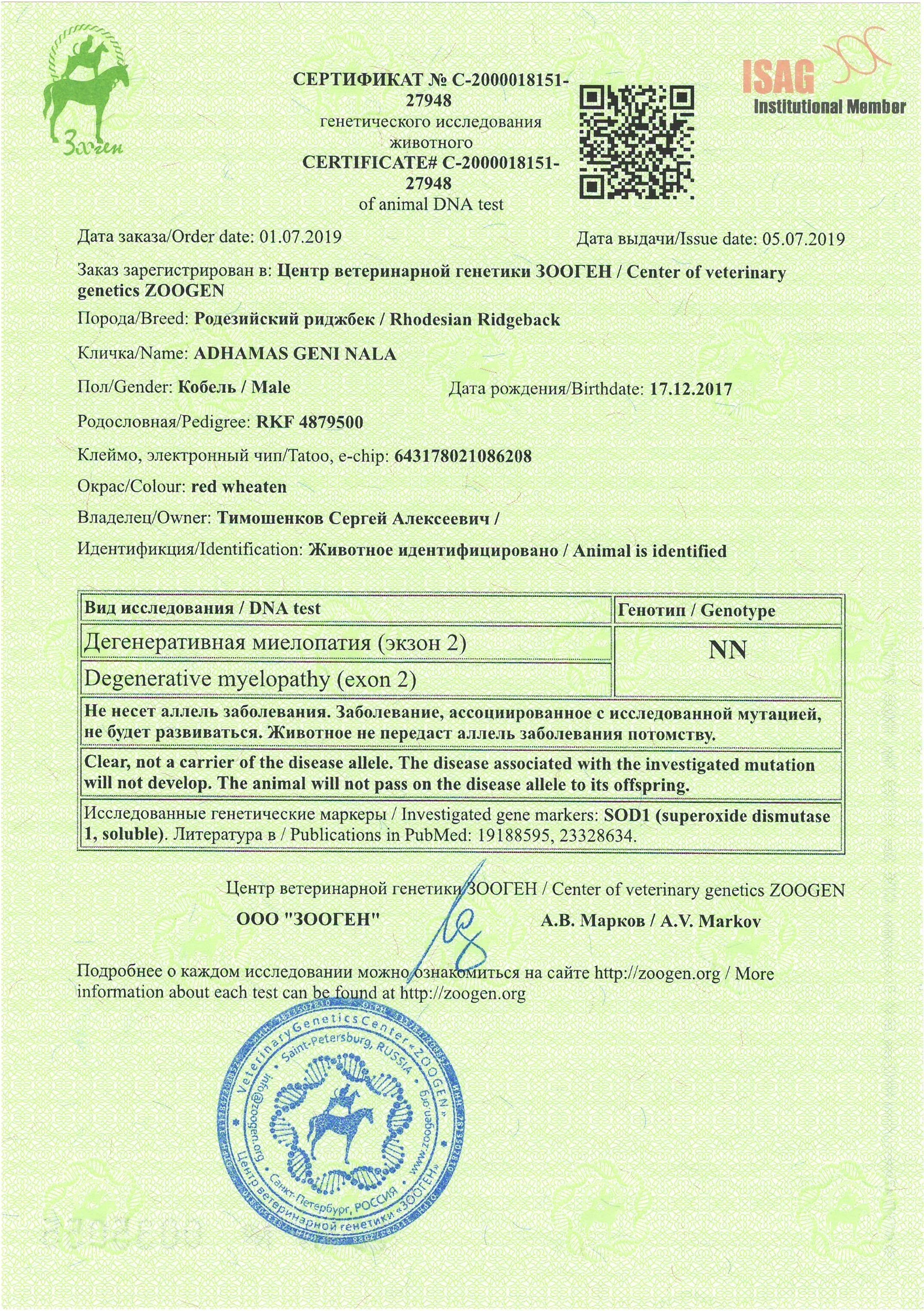 Генетические тесты и тесты здоровья родезийского риджбека Adhamas Geni. Rhodesian ridgeback Adhamas Geni Nala