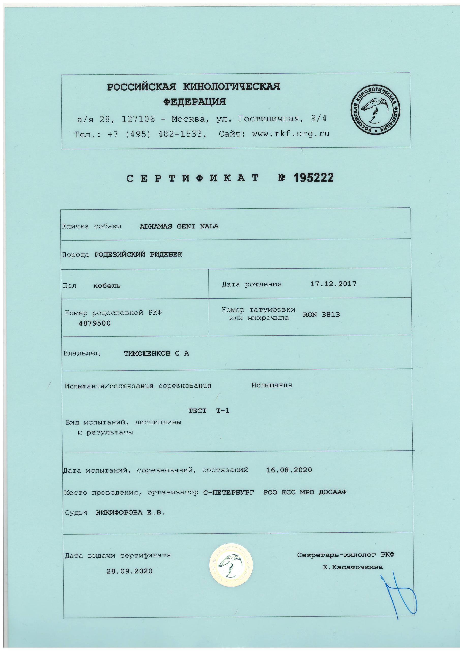 Генетические тесты и тесты здоровья родезийского риджбека Adhamas Geni. Rhodesian ridgeback Adhamas Geni Nala