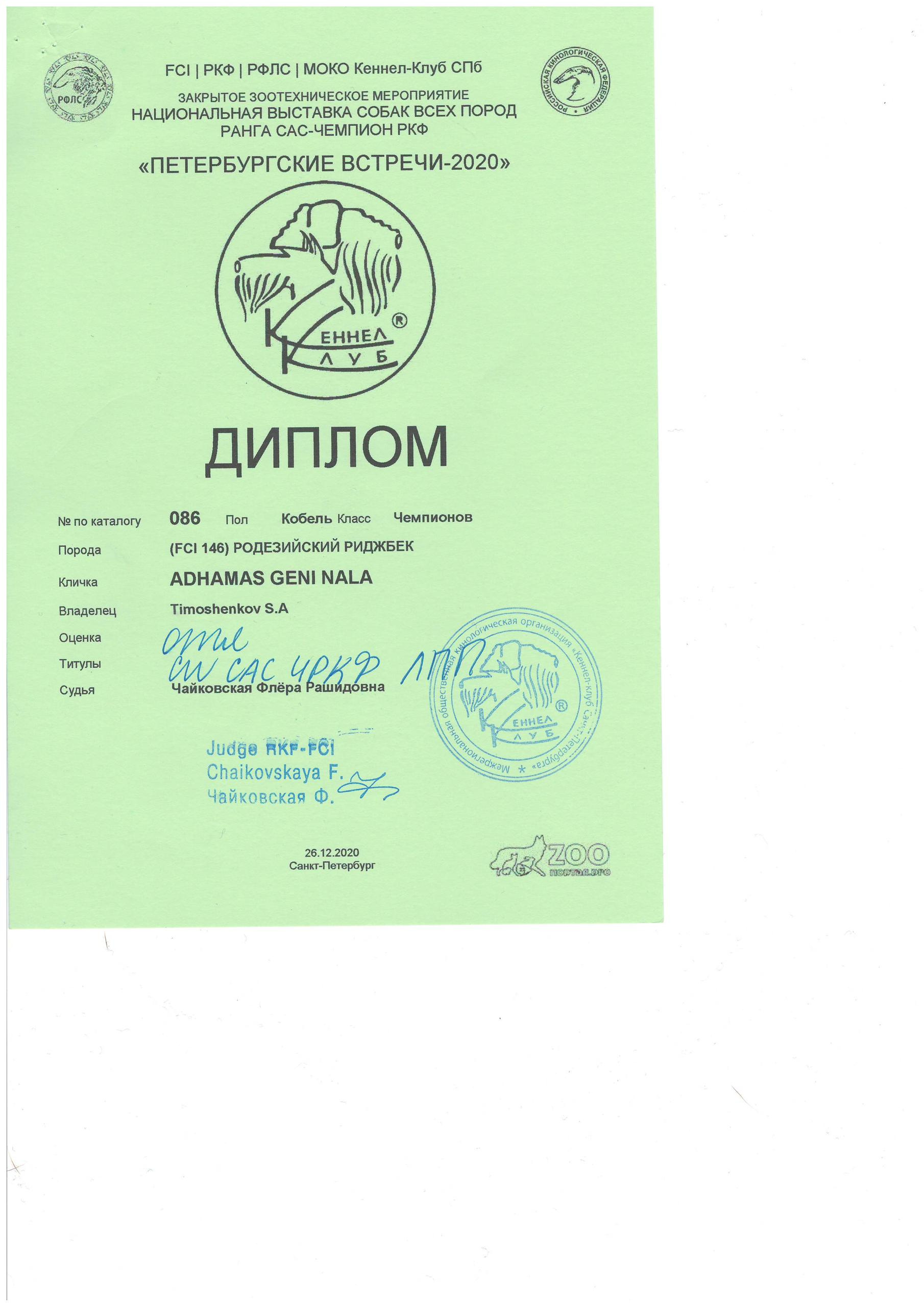 Участие в выставках родезийского риджбека Adhamas Geni Nala (Алана) в. Rhodesian ridgeback Adhamas Geni Nala