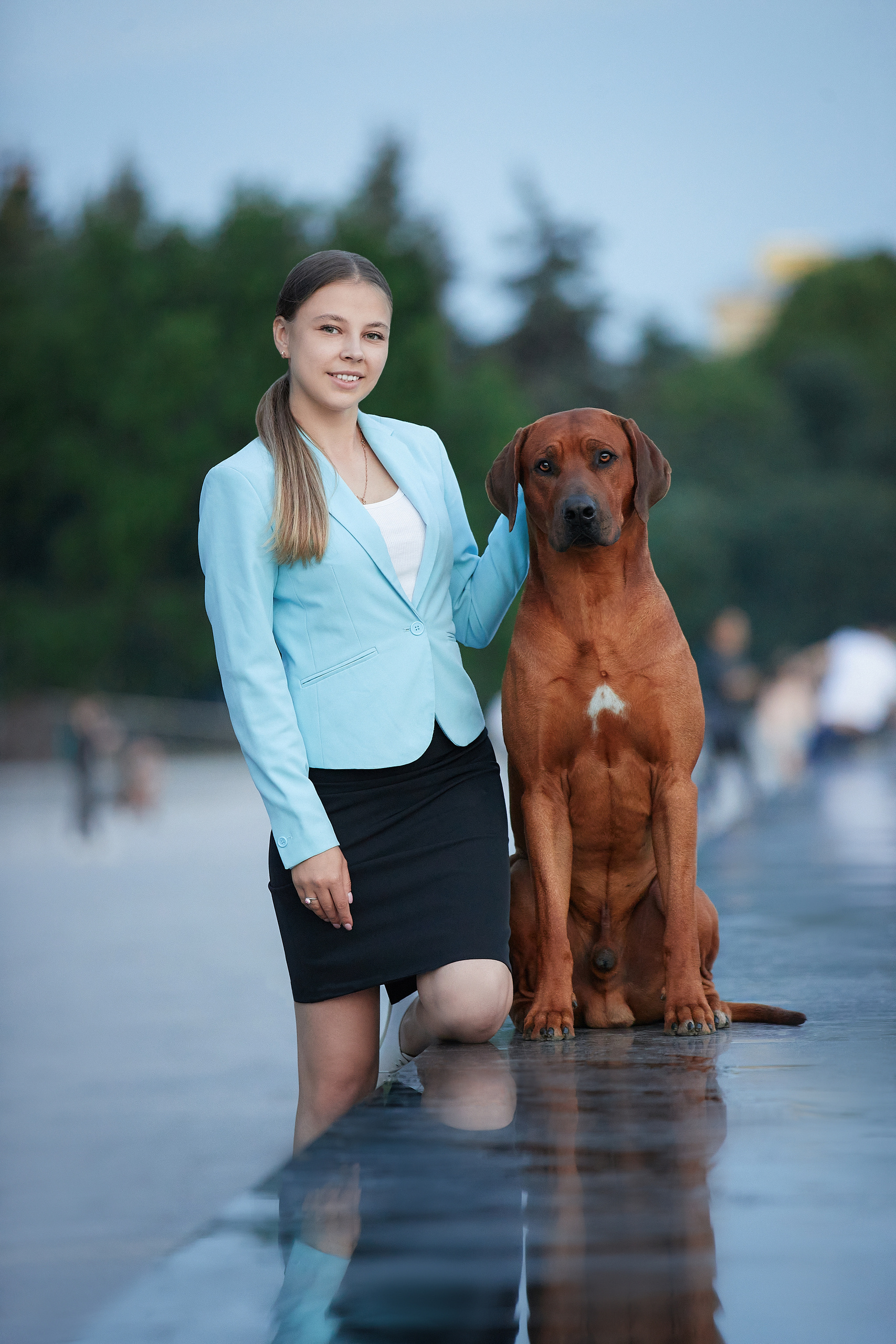 Фотографии родезийского риджбека Adhamas Geni Nala (Алана). Rhodesian ridgeback Adhamas Geni Nala