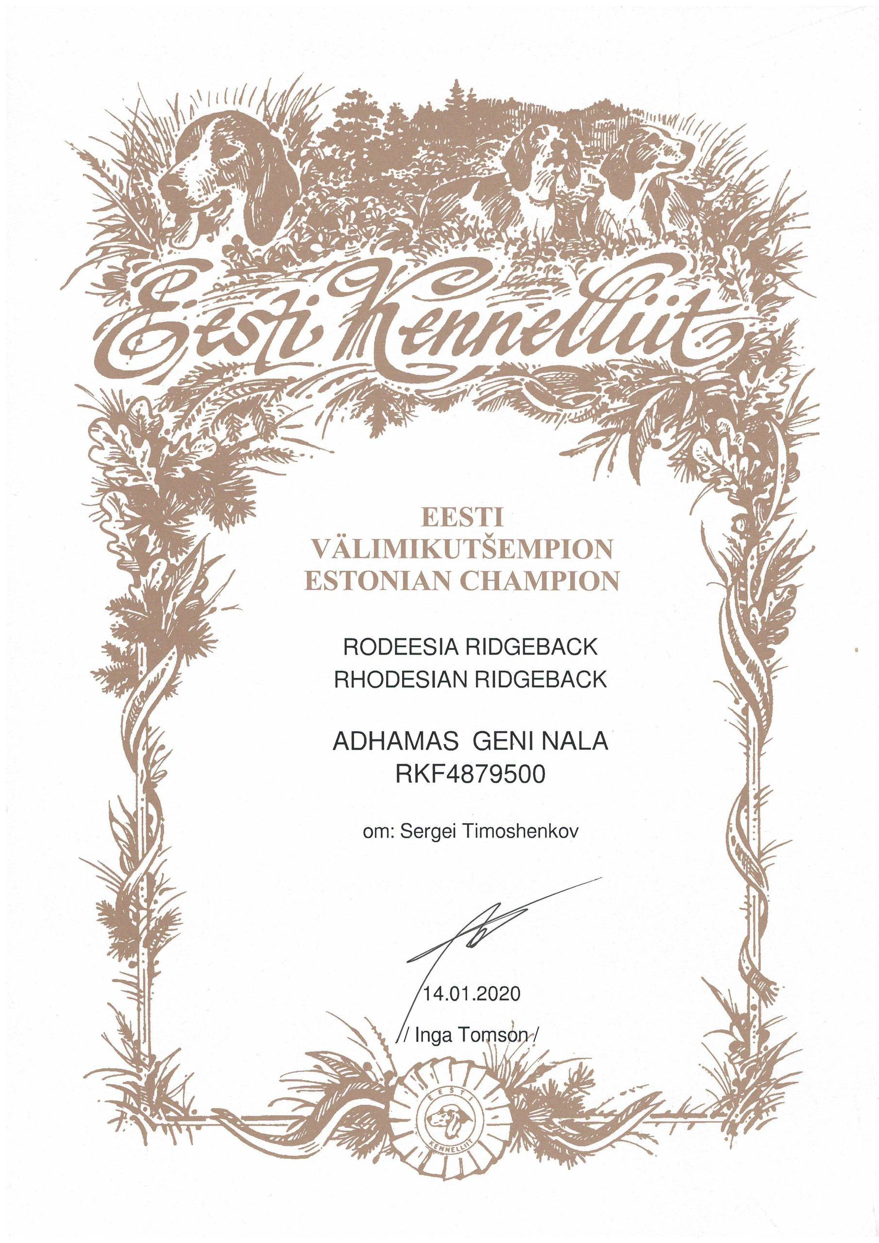 Титулы и чемпионство родезийского риджбека Adhamas Geni Nala (Алана). Rhodesian ridgeback Adhamas Geni Nala