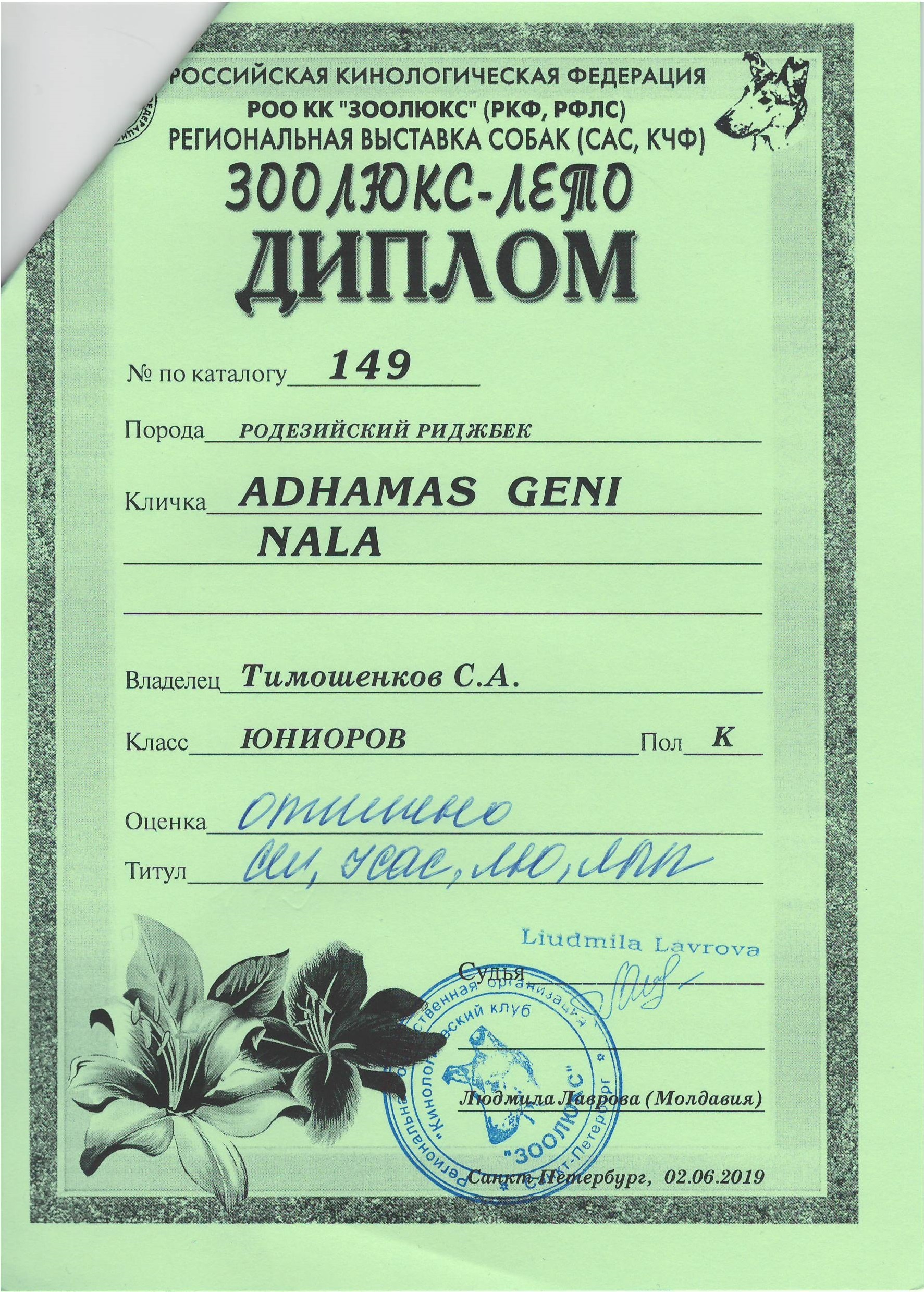 Участие в выставках родезийского риджбека Adhamas Geni Nala (Алана) в. Rhodesian ridgeback Adhamas Geni Nala