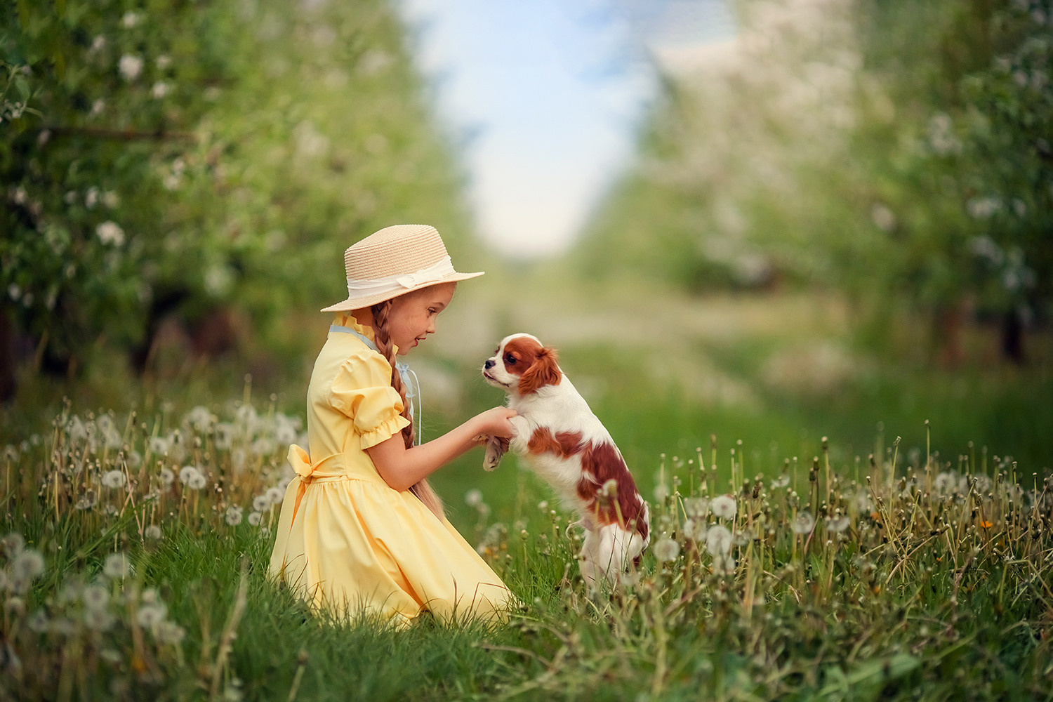 Живые МК. Фотограф Дарья Берестова (Краснодар)