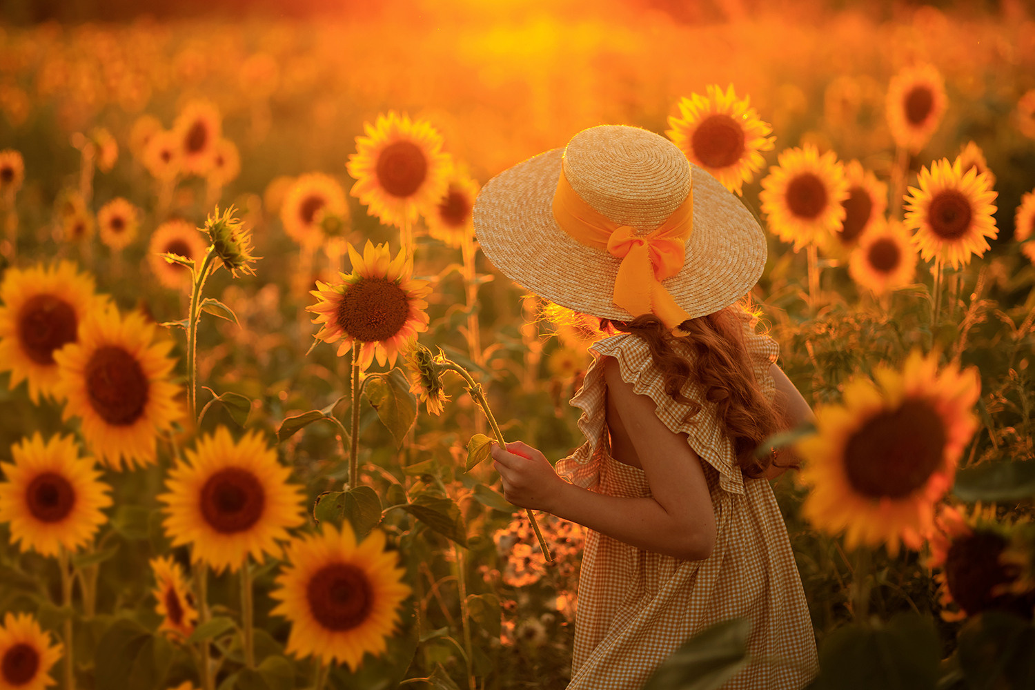 Живые МК. Фотограф Дарья Берестова (Краснодар)