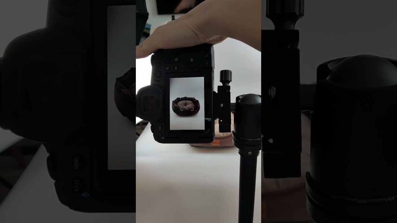 Фотограф/Видеограф