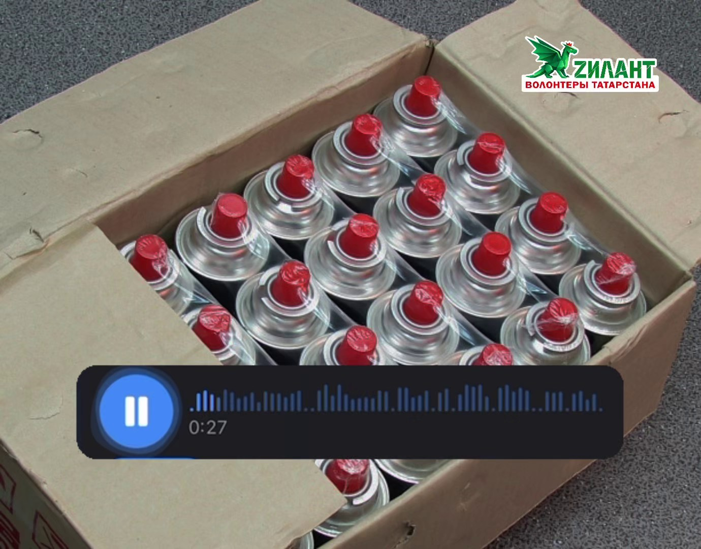 Сборы. ZИЛАНТ | Волонтеры ТАТАРСТАНА